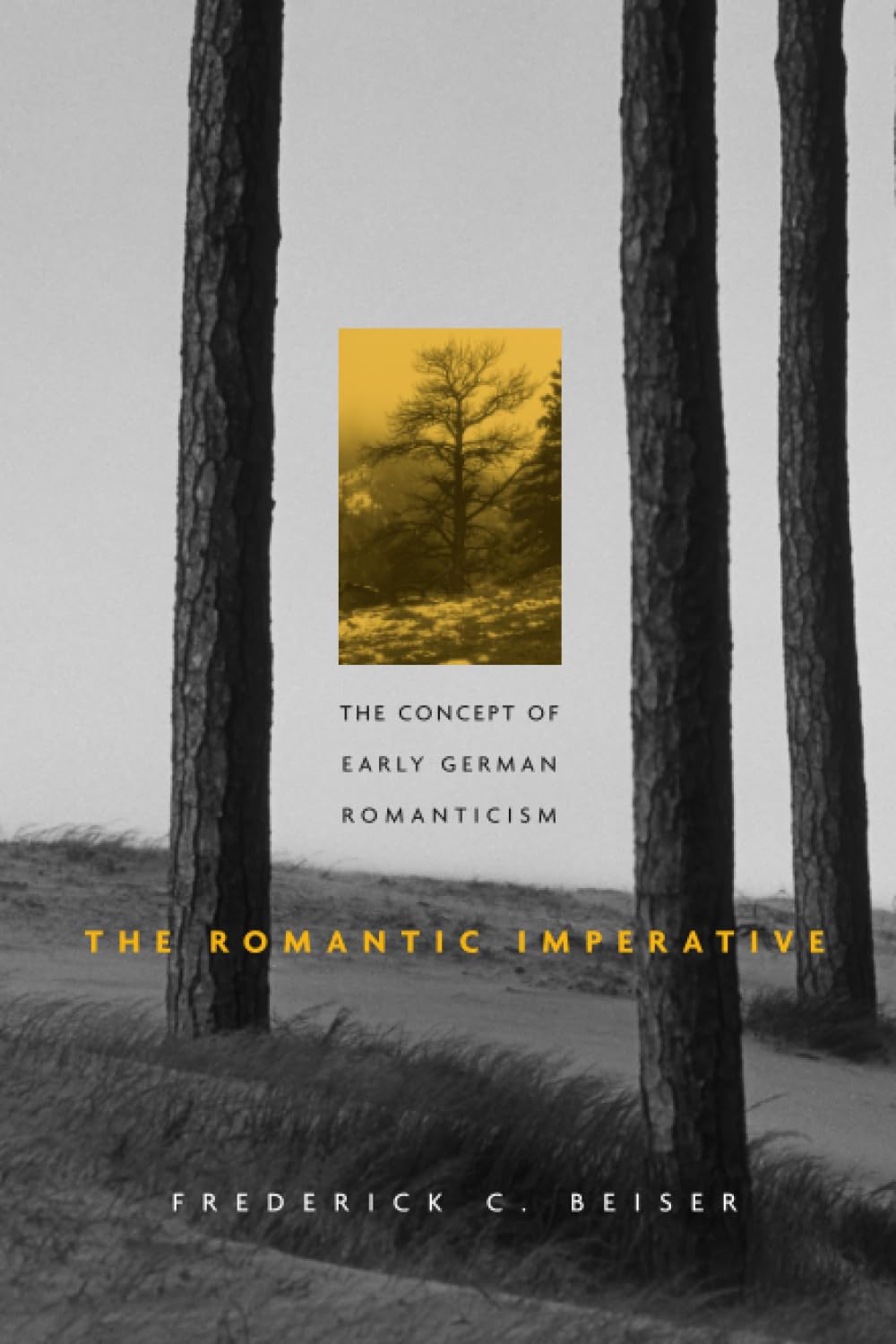 The Romantic Imperative