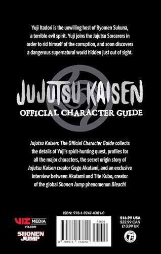 Jujutsu Kaisen Character Guide