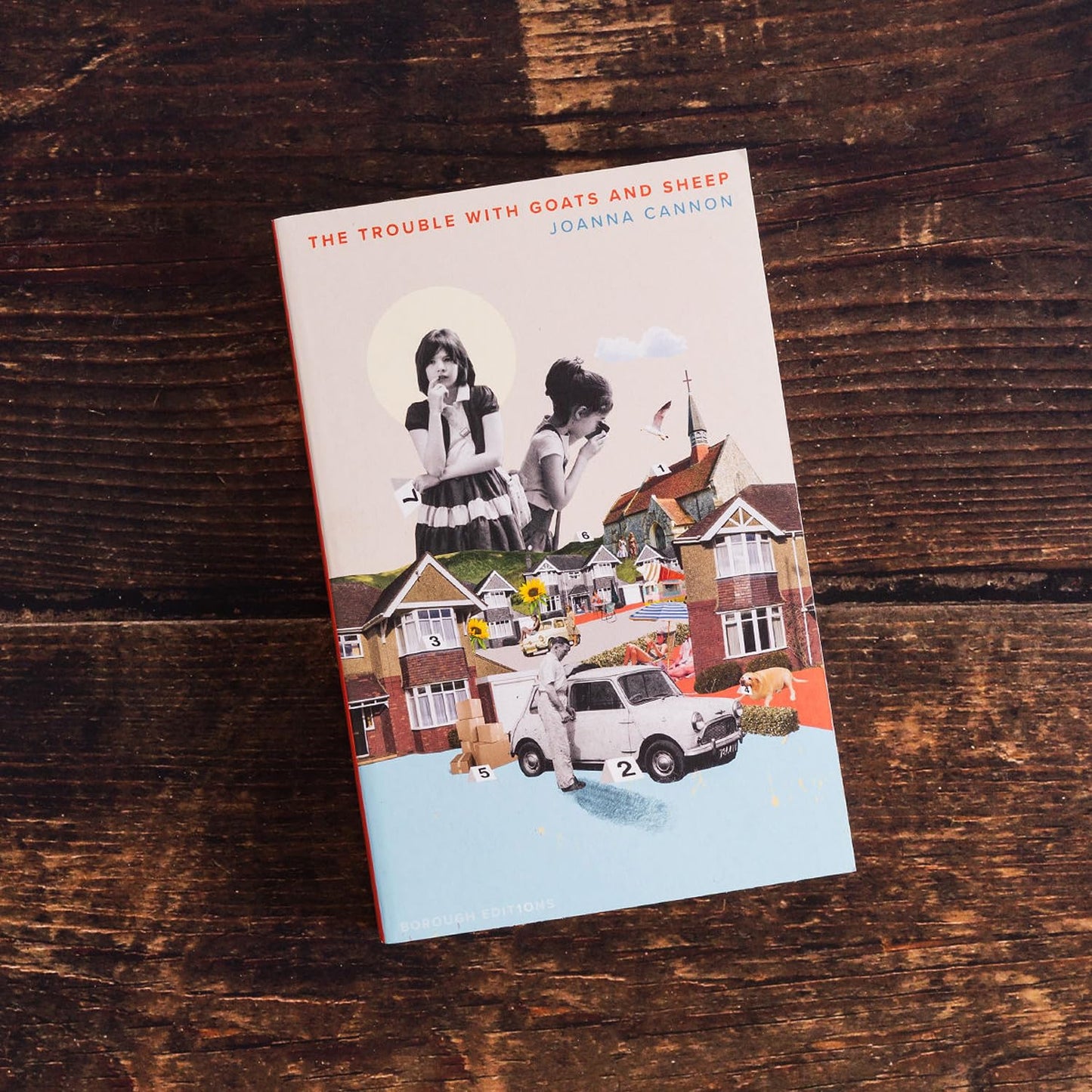 The Trouble With Goats And Sheep Âborough Editionã