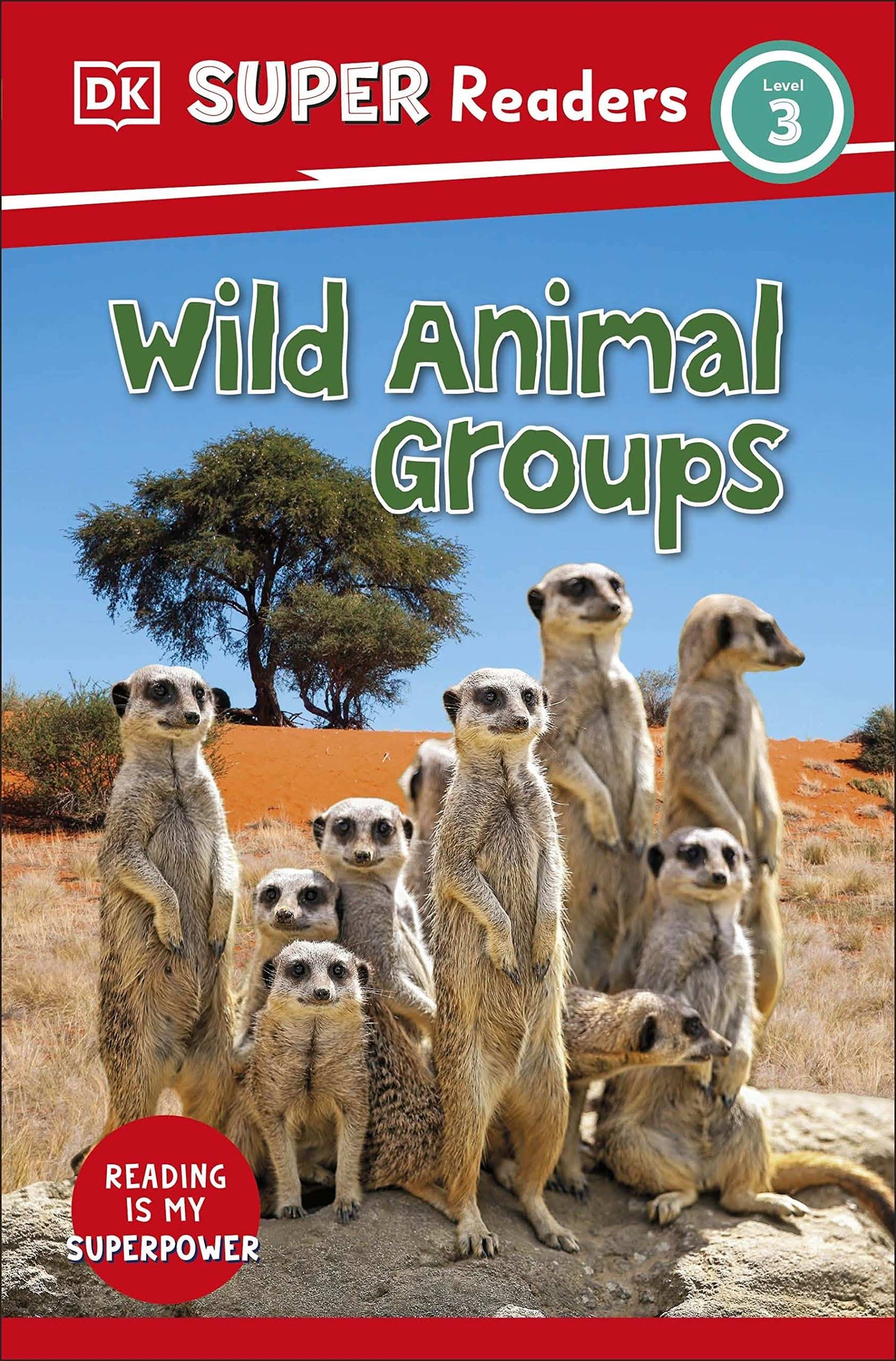 Dk Super Readers Level 3 Wild Animal Groups