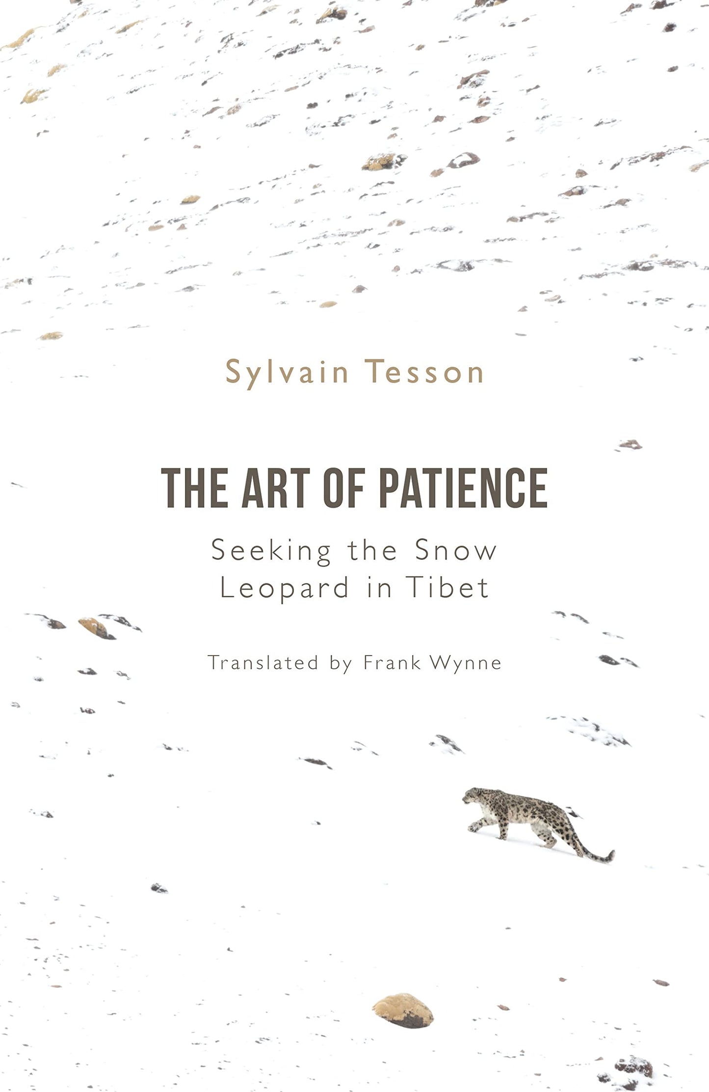 Art Of Patience, The
