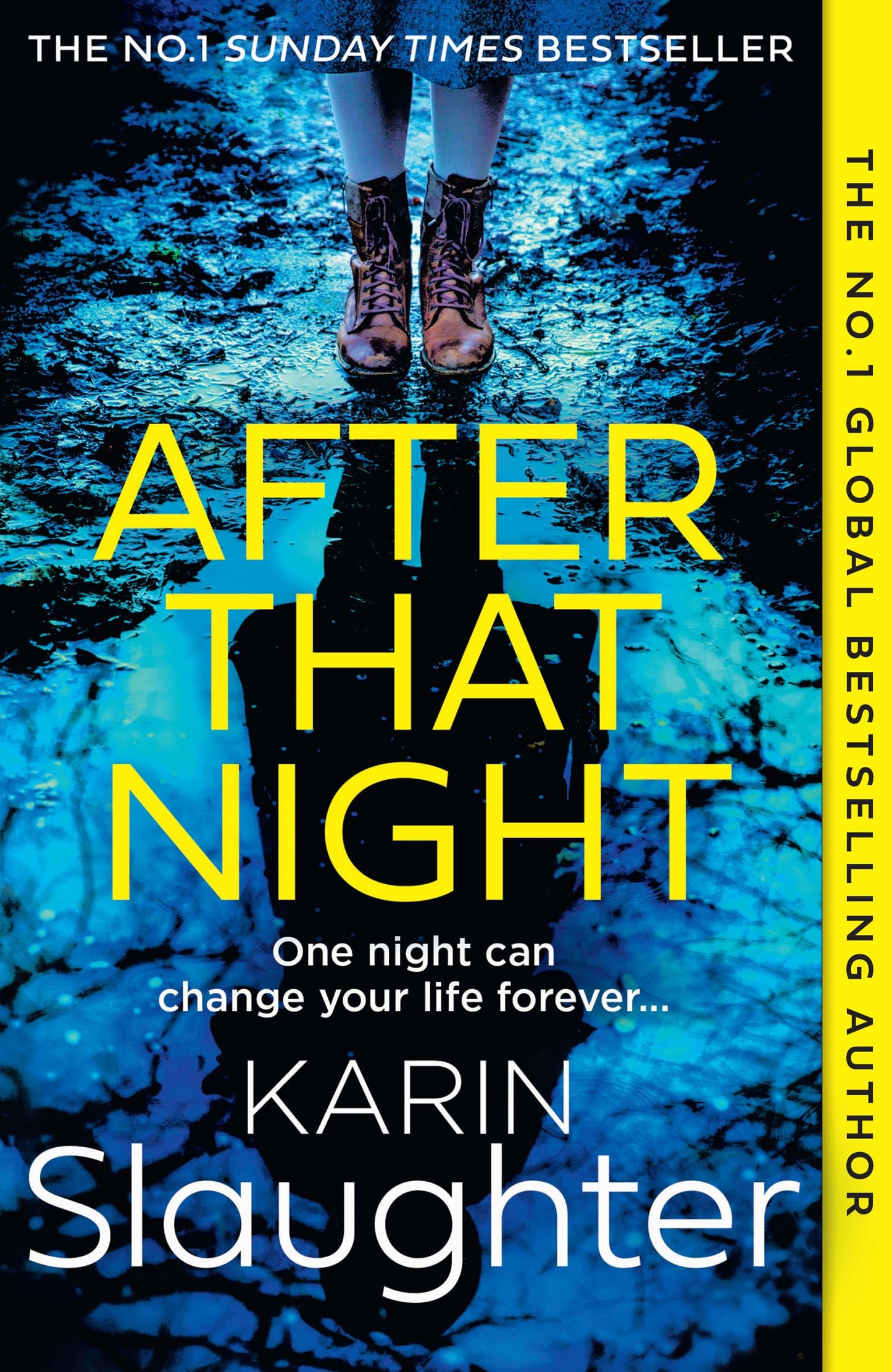 The Will Trent Series (11) — After That Night