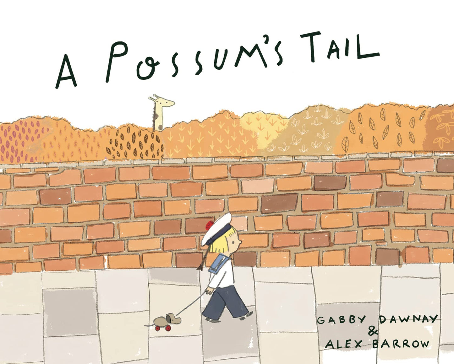 A Possum'S Tail (Paperback)