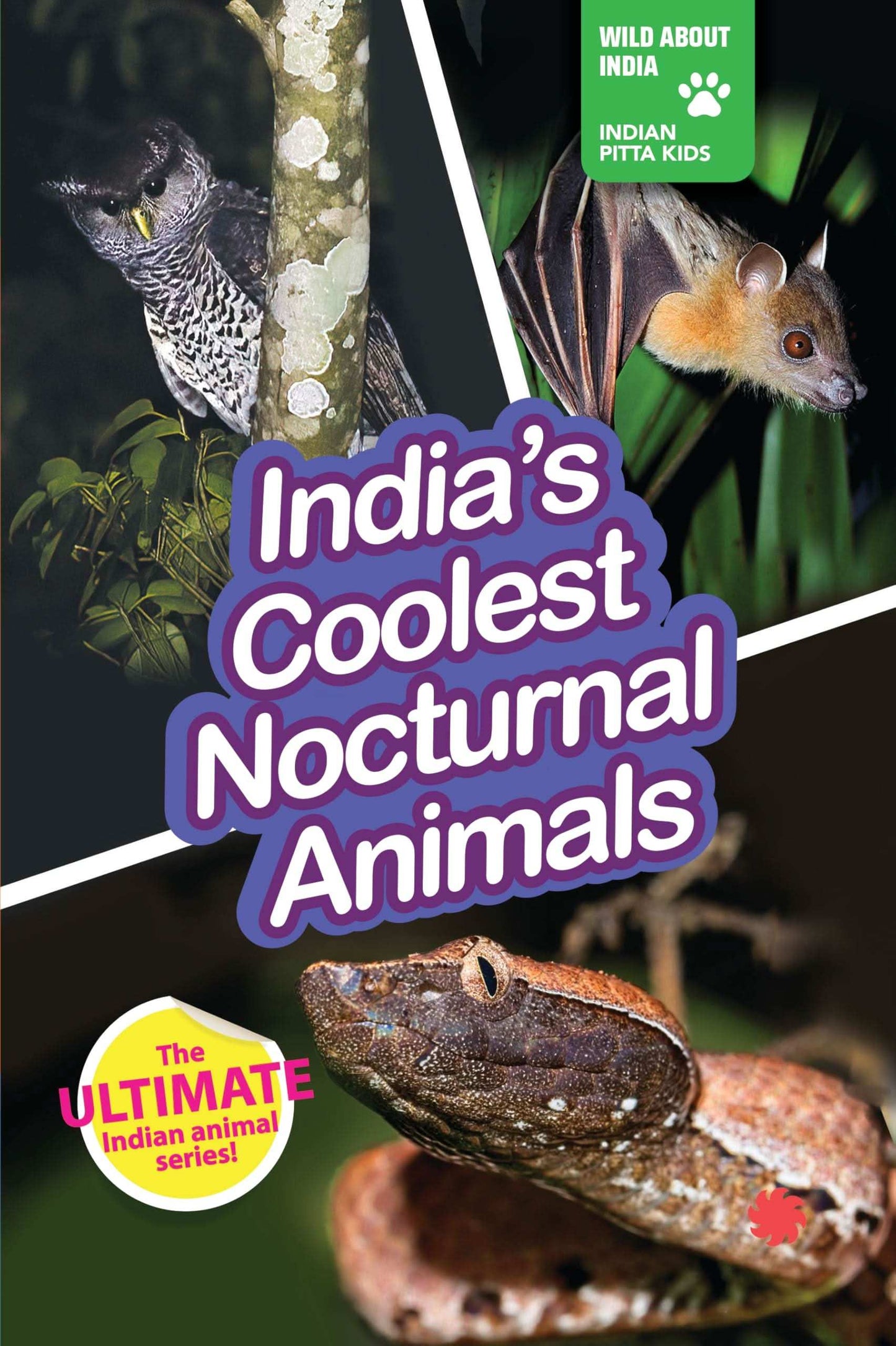 India'S Coolest Nocturnal Animals