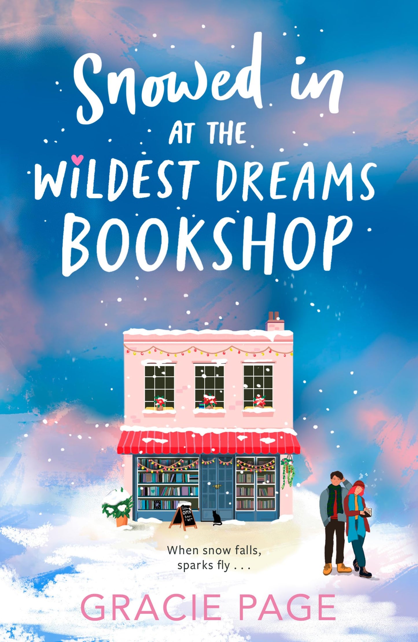 The Wildest Dreams Bookshop (2)-Snowed In At The Wildest Dre