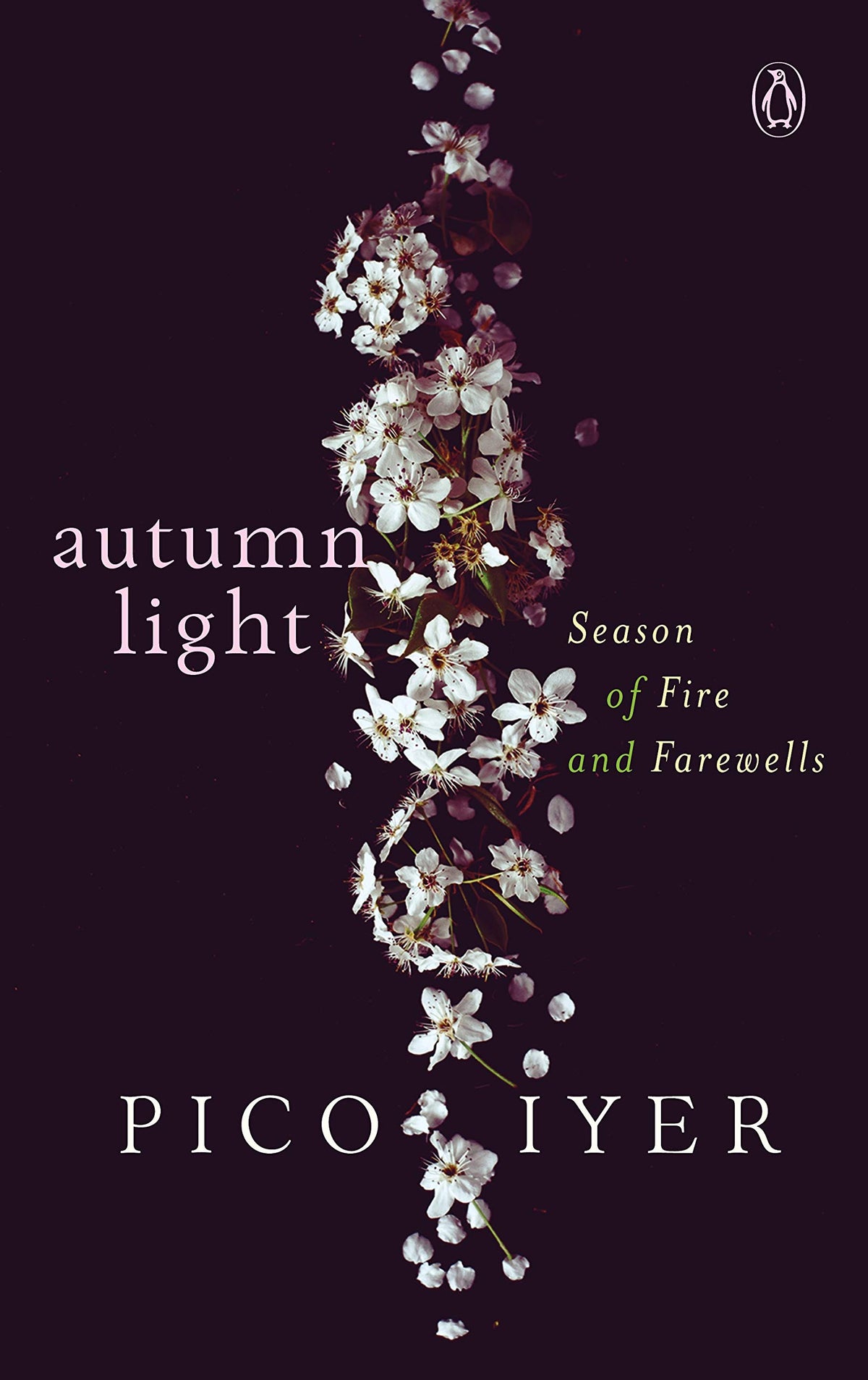 Autumn Light