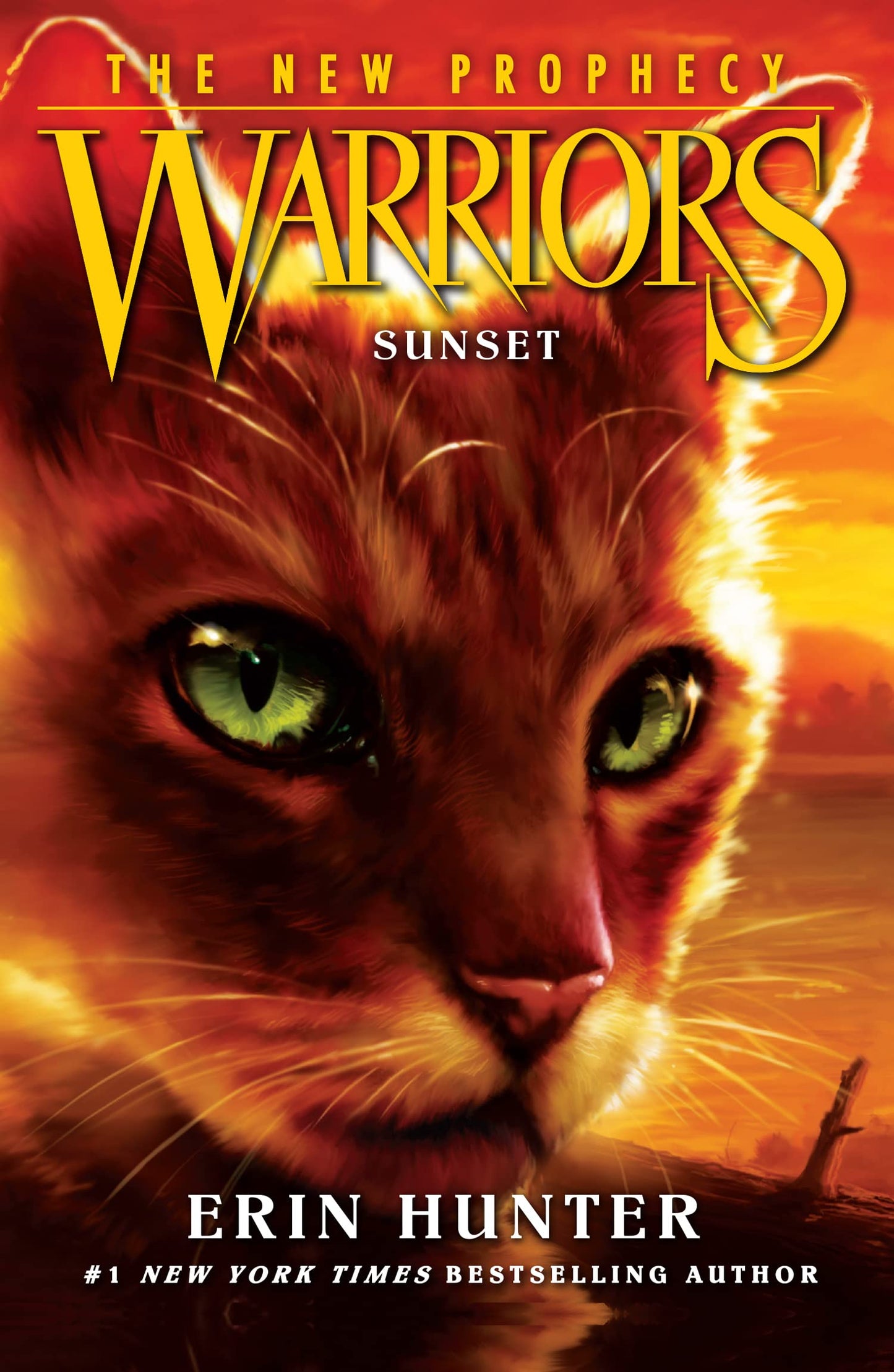 Warriors : New Prophecy - Sunset