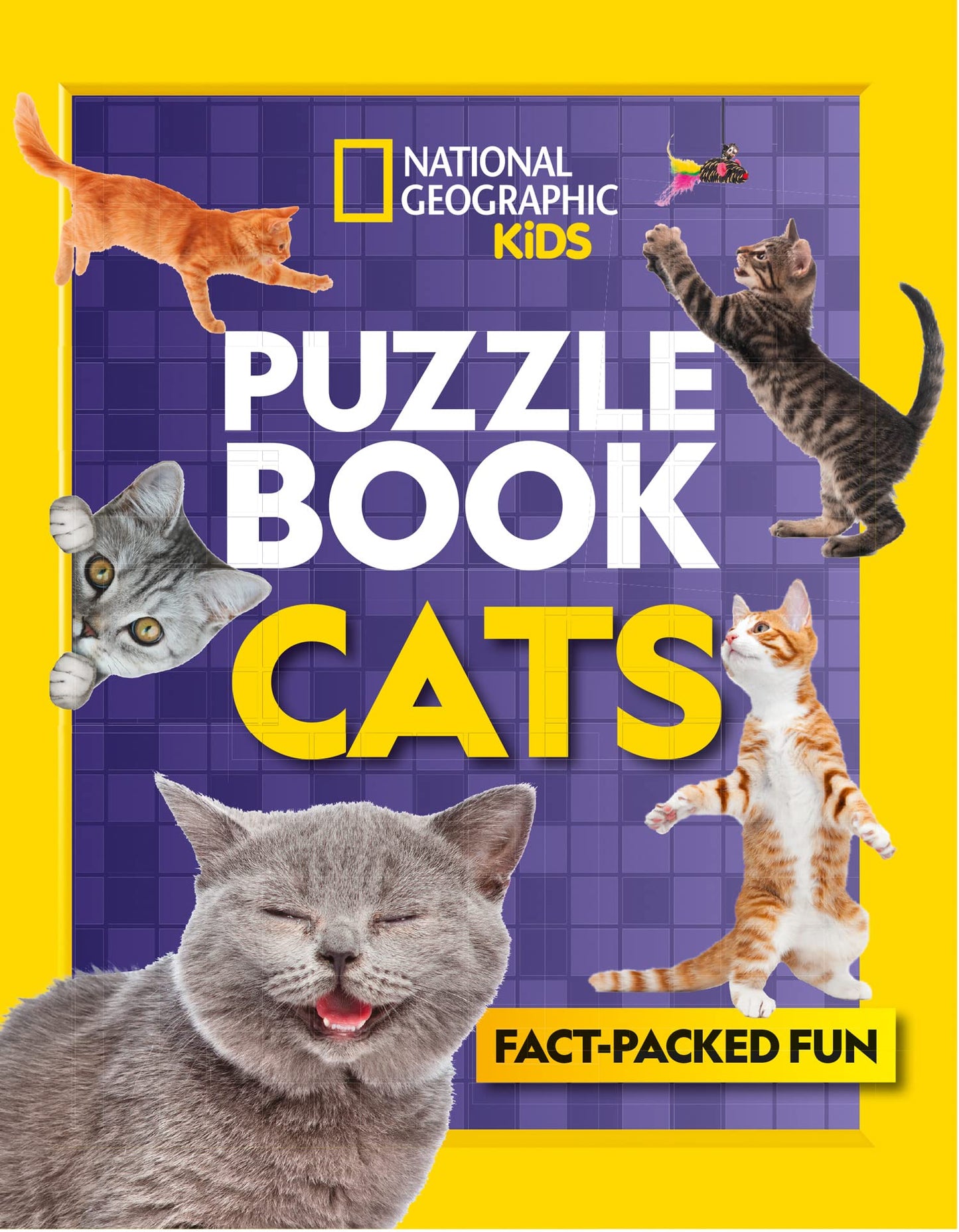Ng Kids — Puzzle Book Cats: Brain-Tickling Quizzes, Sudokus,