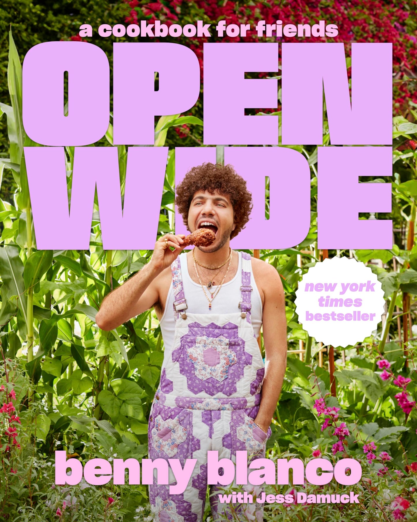 Open Wide - A Cookbook For Friends