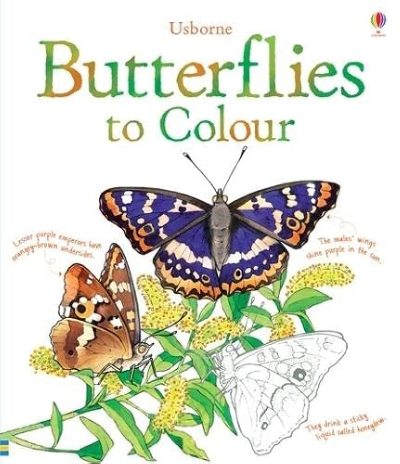 Butterflies To Colour