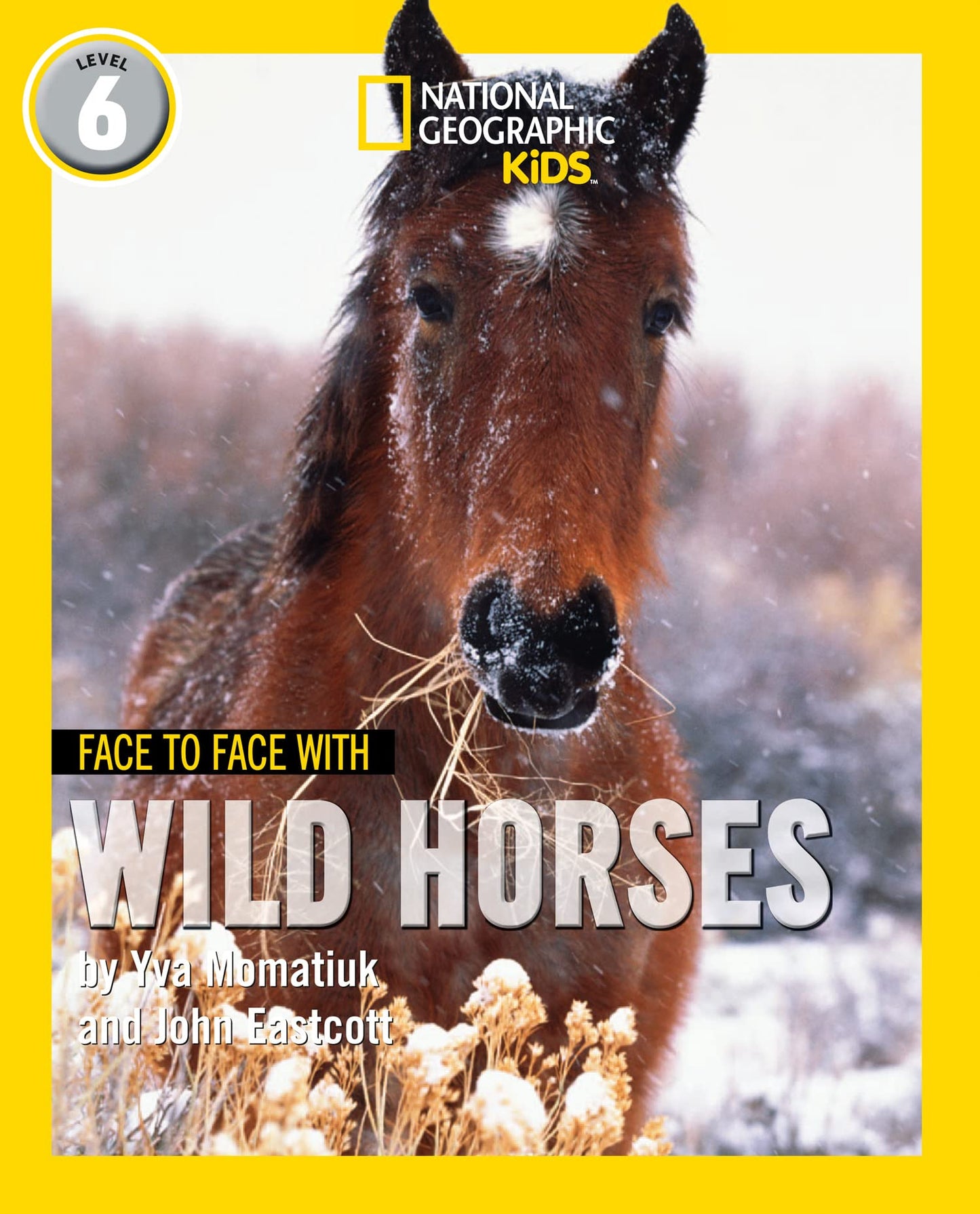 Ng Readers — Face To Face With Wild Horses: Level 6