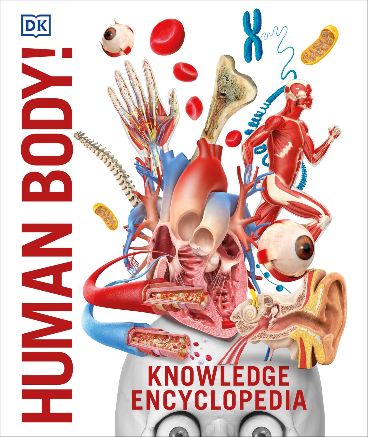 Knowledge Encyclopedia Human Body