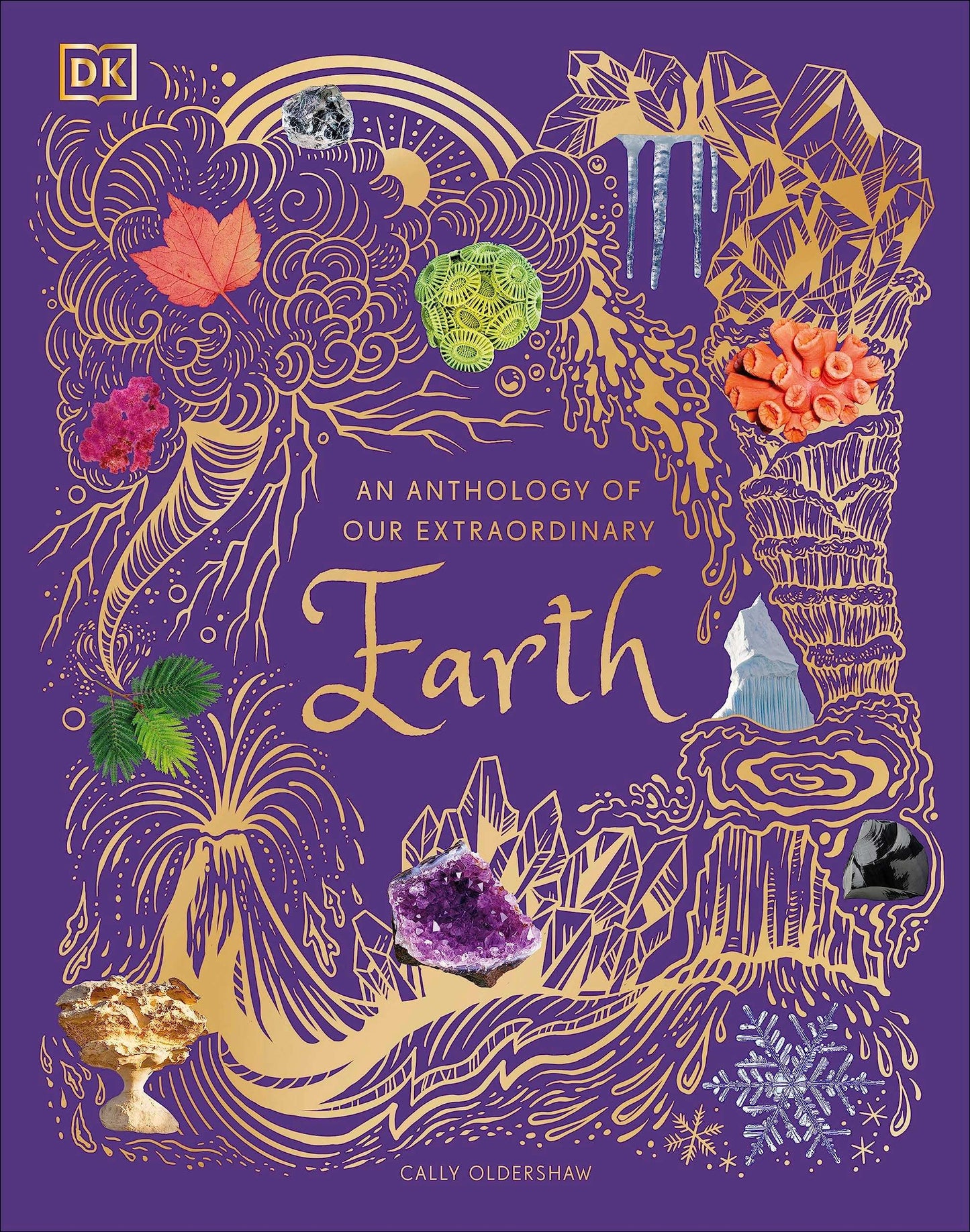 An Anthology Of Our Extraordinary E