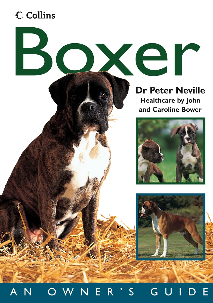 Dog Owner'S Guide Boxer Pb