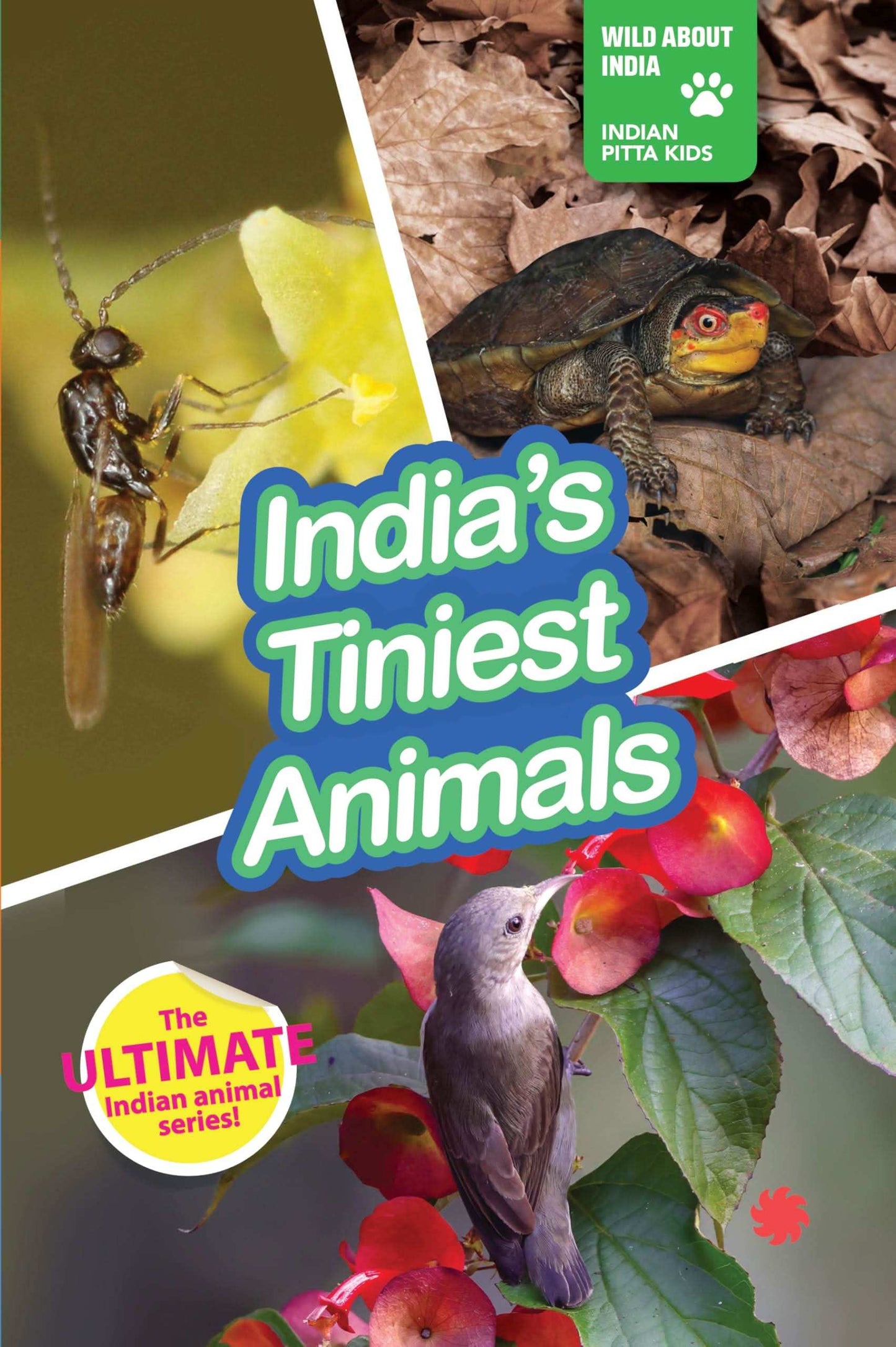 India'S Tiniest Animals