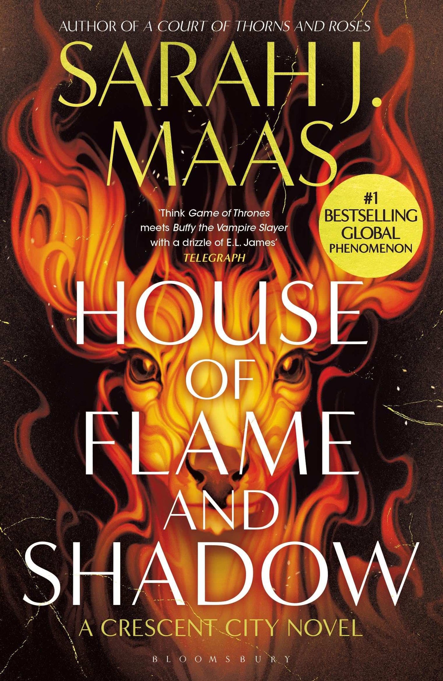 House Of Flame & Shadow