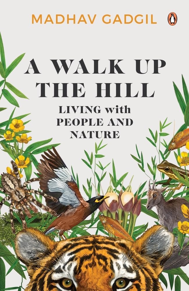 Walk Up The Hill