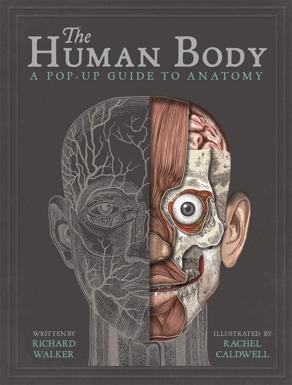 Human Body, The
