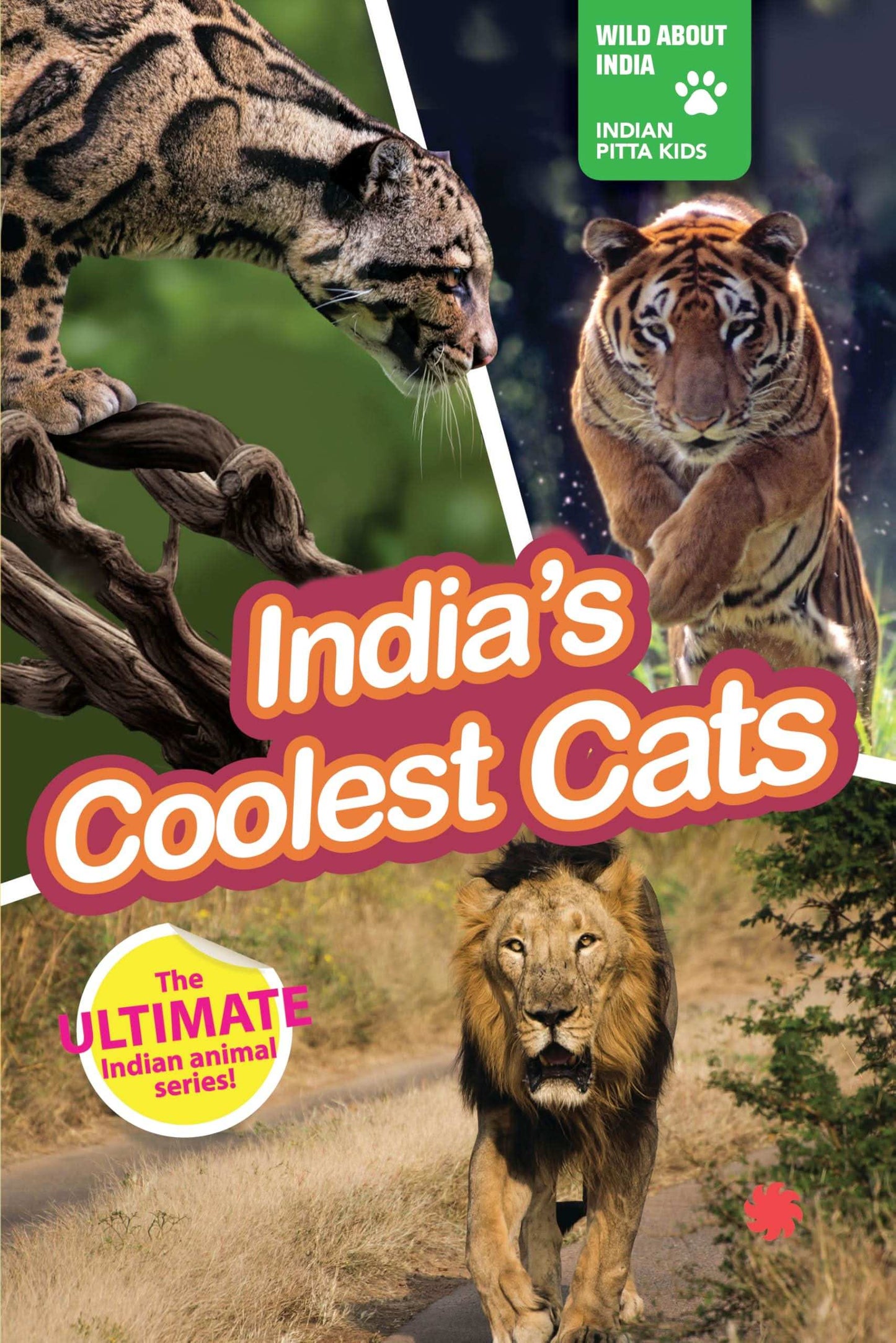 India'S Coolest Cats