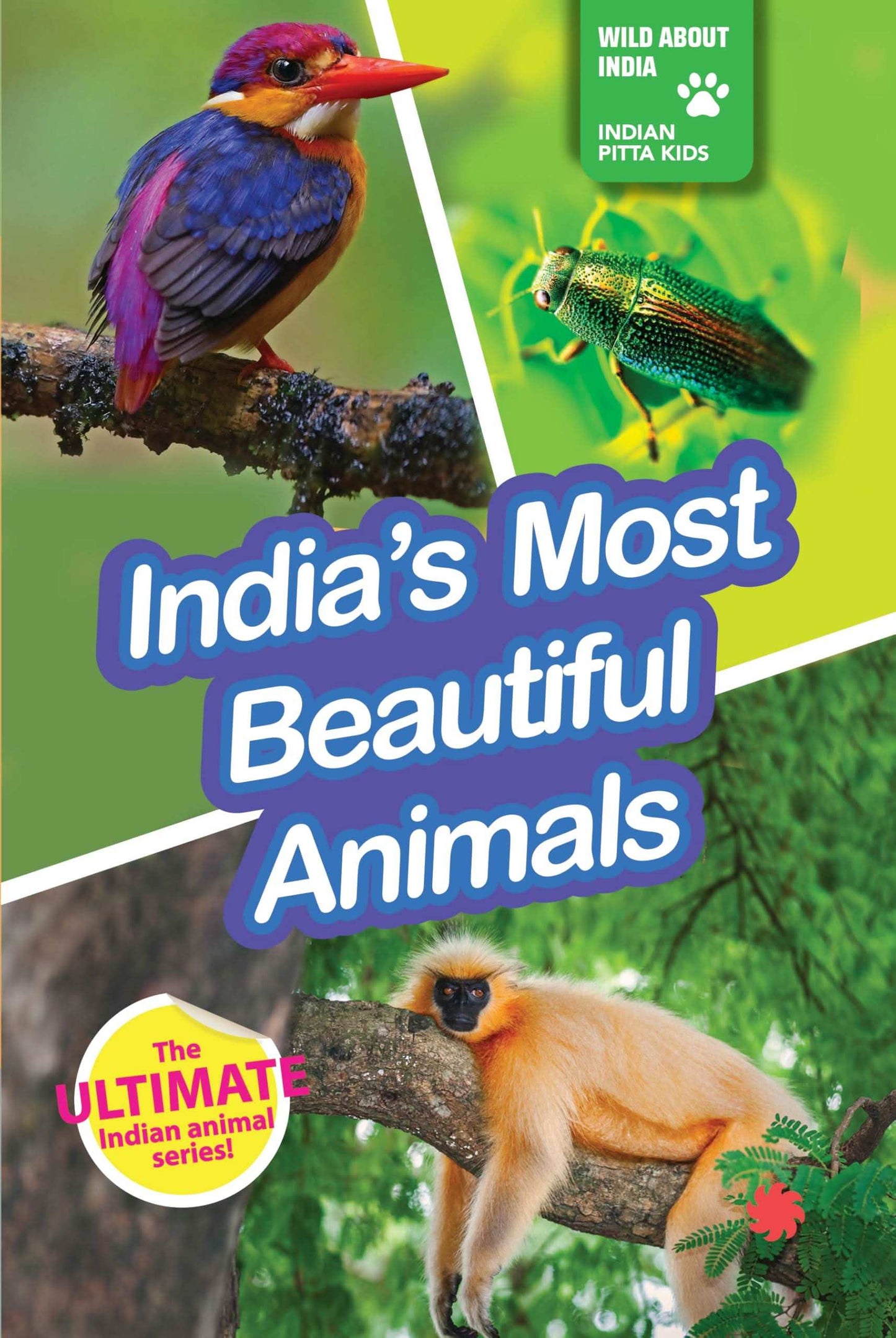 India'S Most Beautiful Animals