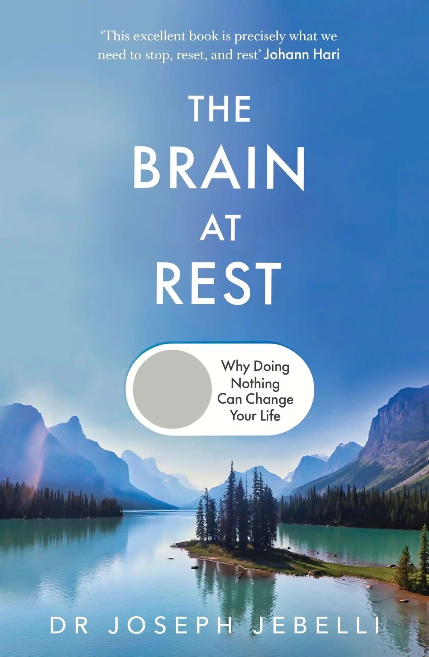 The Brain At Rest