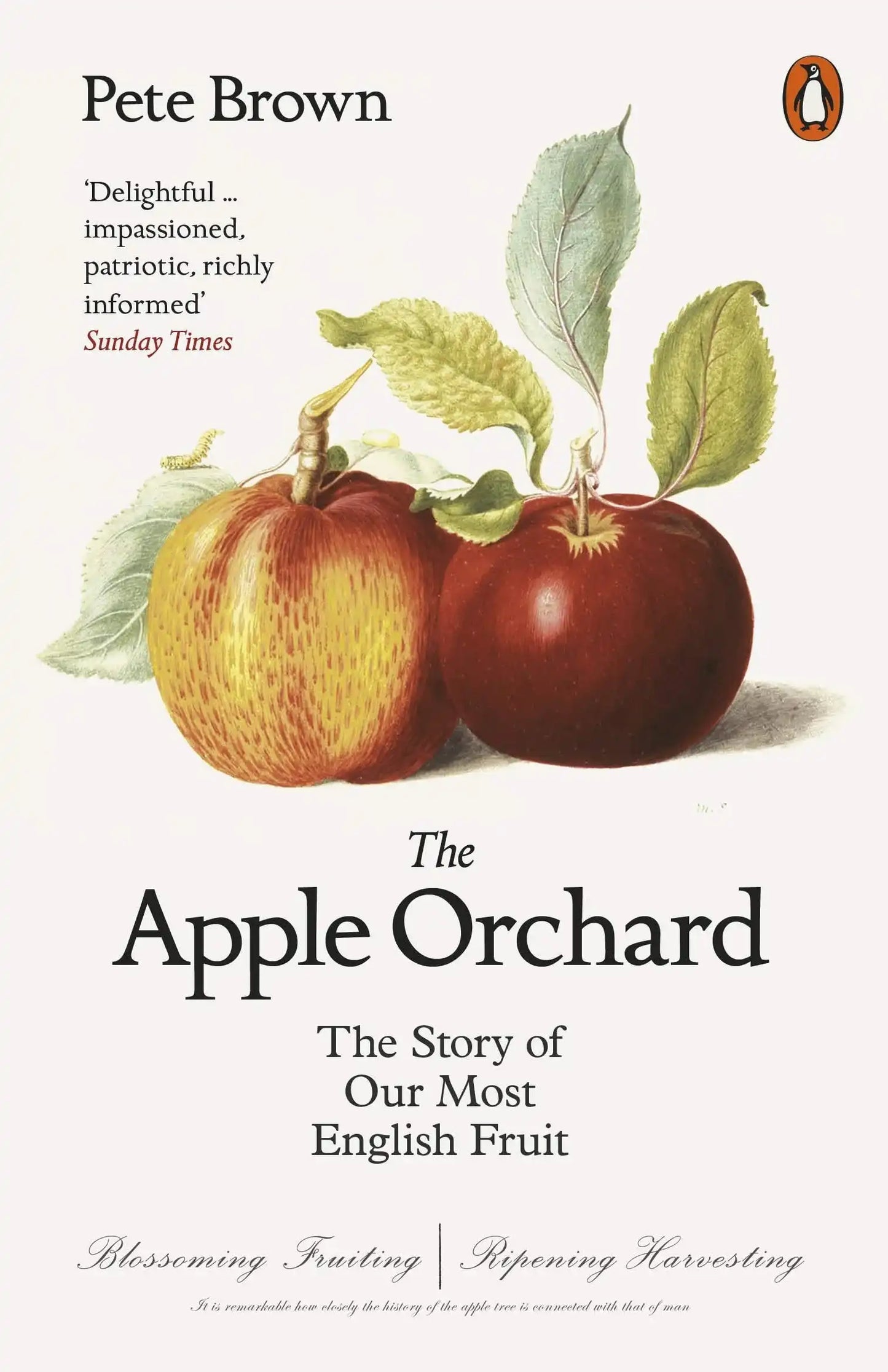 The Apple Orchard : The Story Of Our Most English Fruit