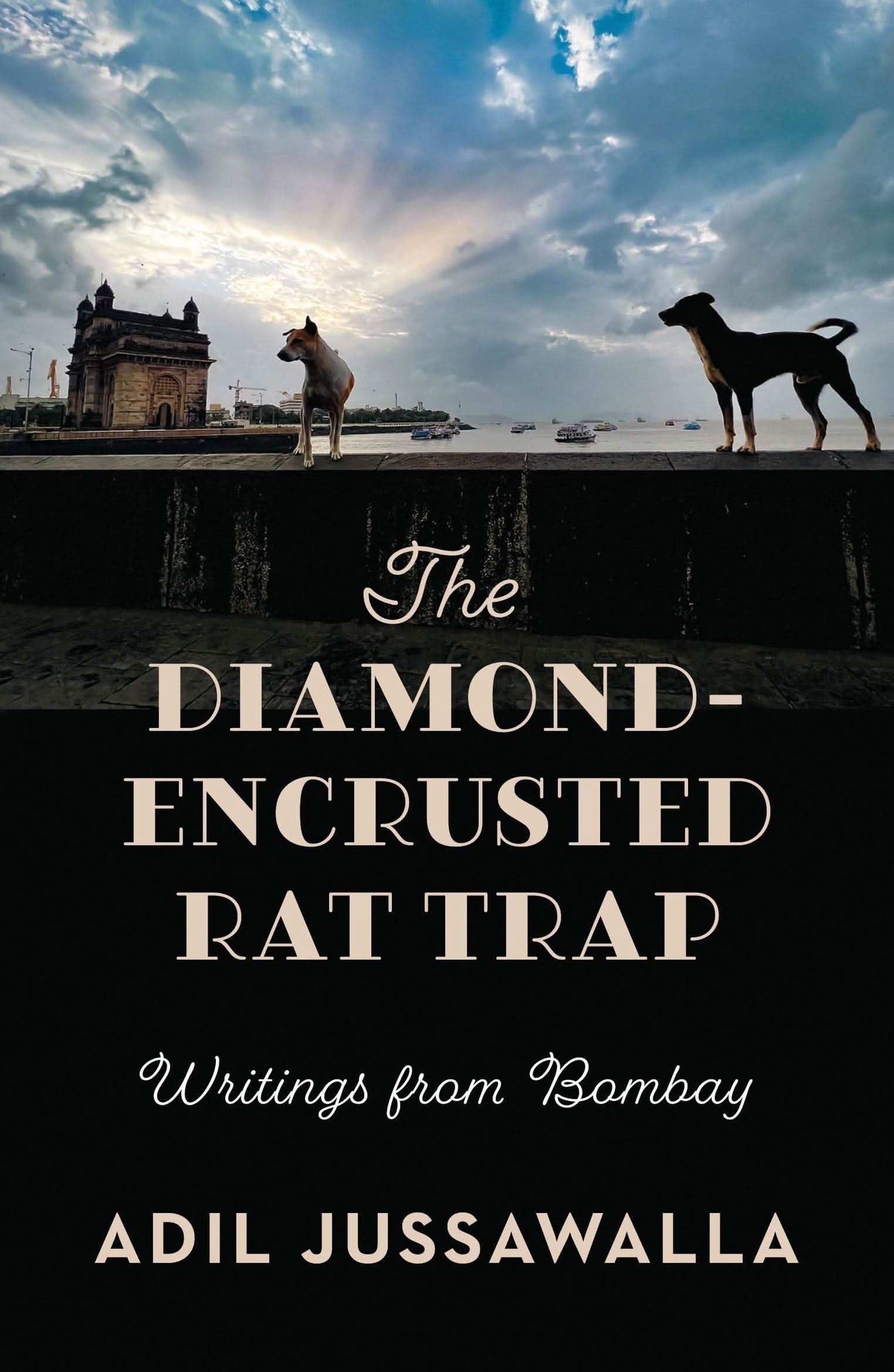 The Diamond-Encrusted Rat Trap
