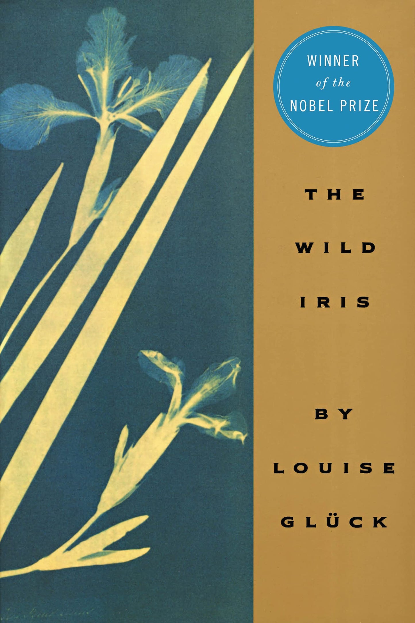 Wild Iris, The