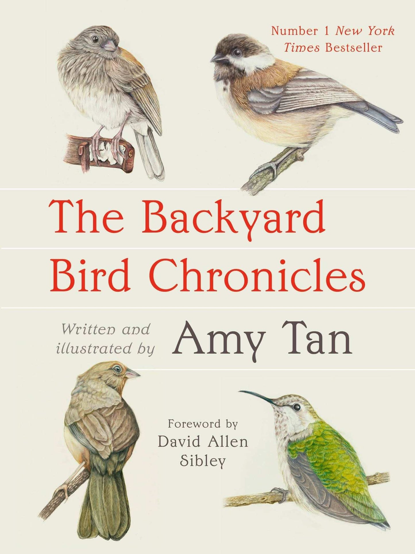 The Backyard Bird Chronicles