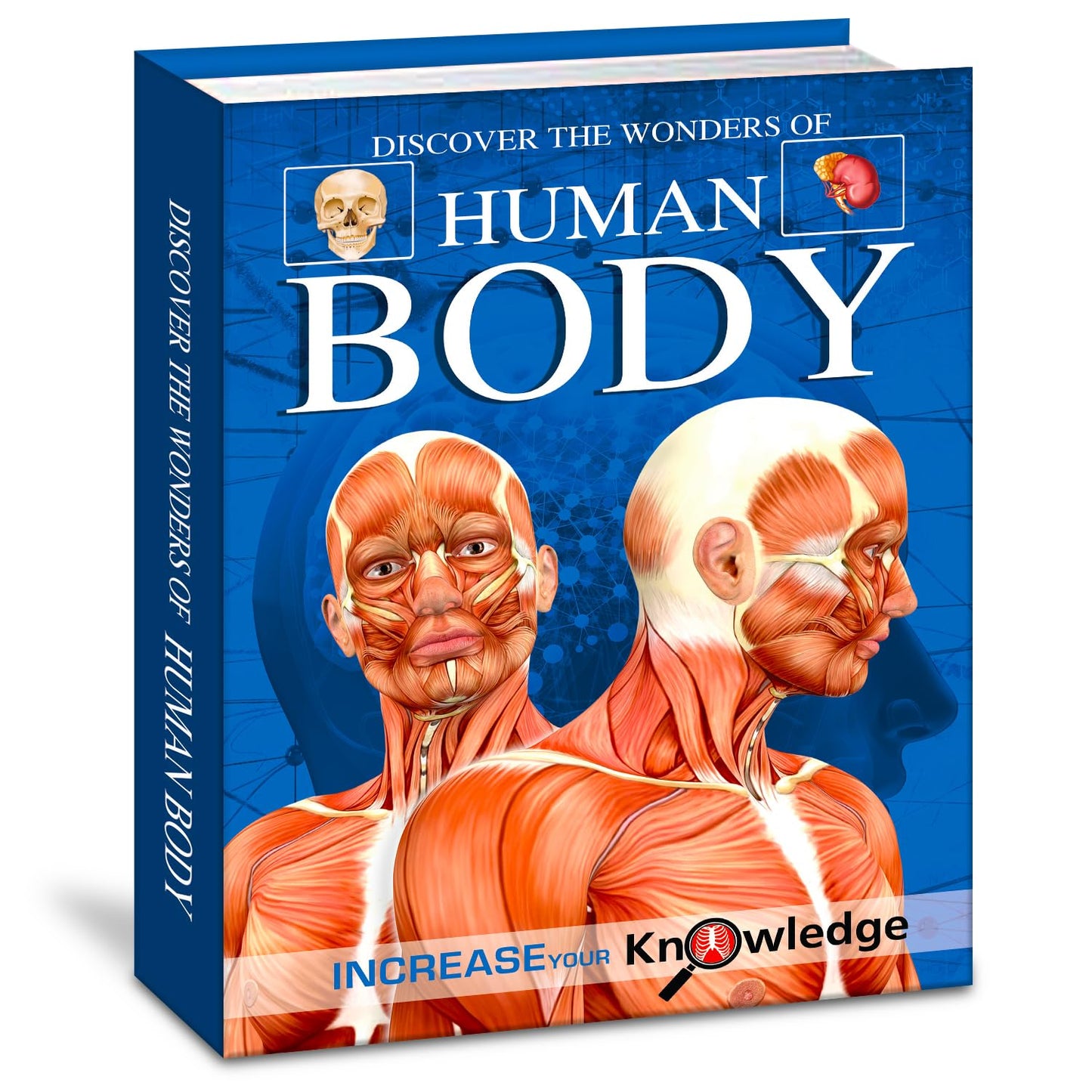 "Hello Friend Books Discover the Wonders of the Human Body: Explore the Marvels Within You"