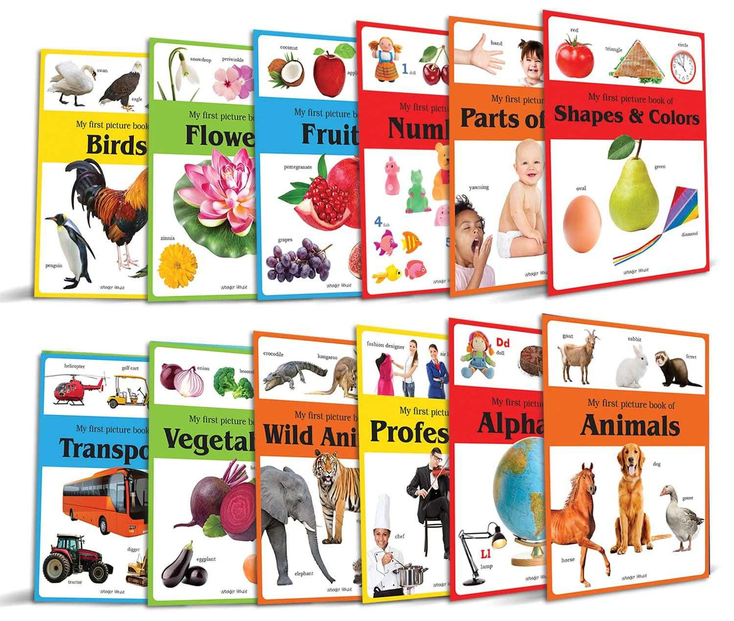 Early Learning Picture Books Boxset : Pack Of 12 Picture Books For Kids (Wipe & Clean)- Alphabet, An