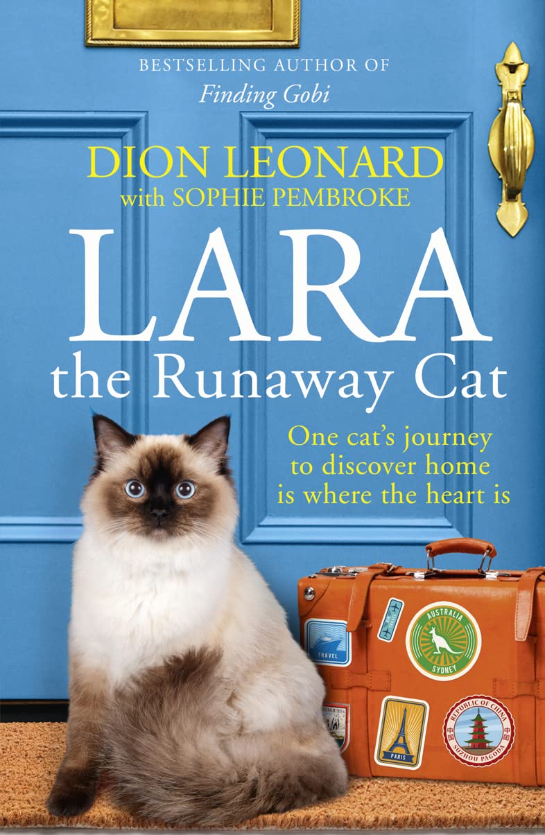 Lara The Runaway Cat