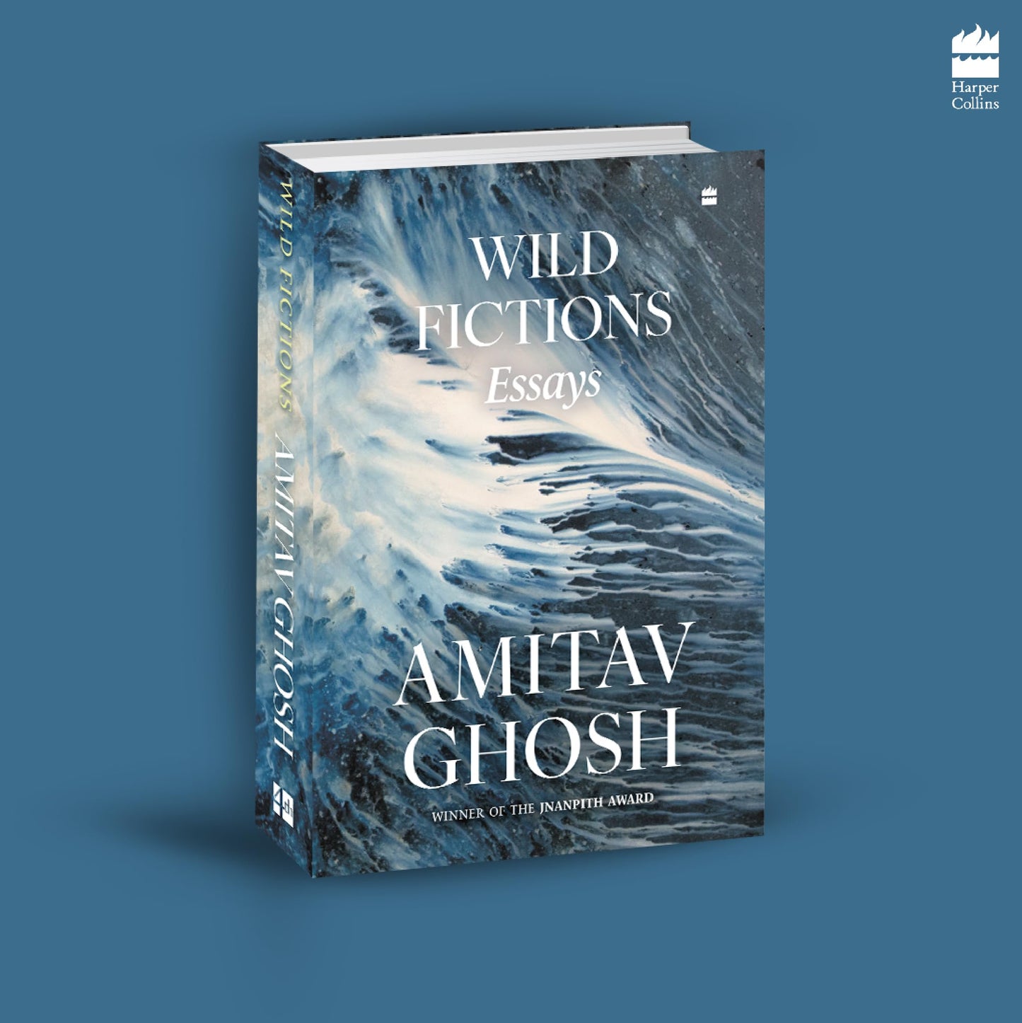 Wild Fictions - Release Date December 29, 2025