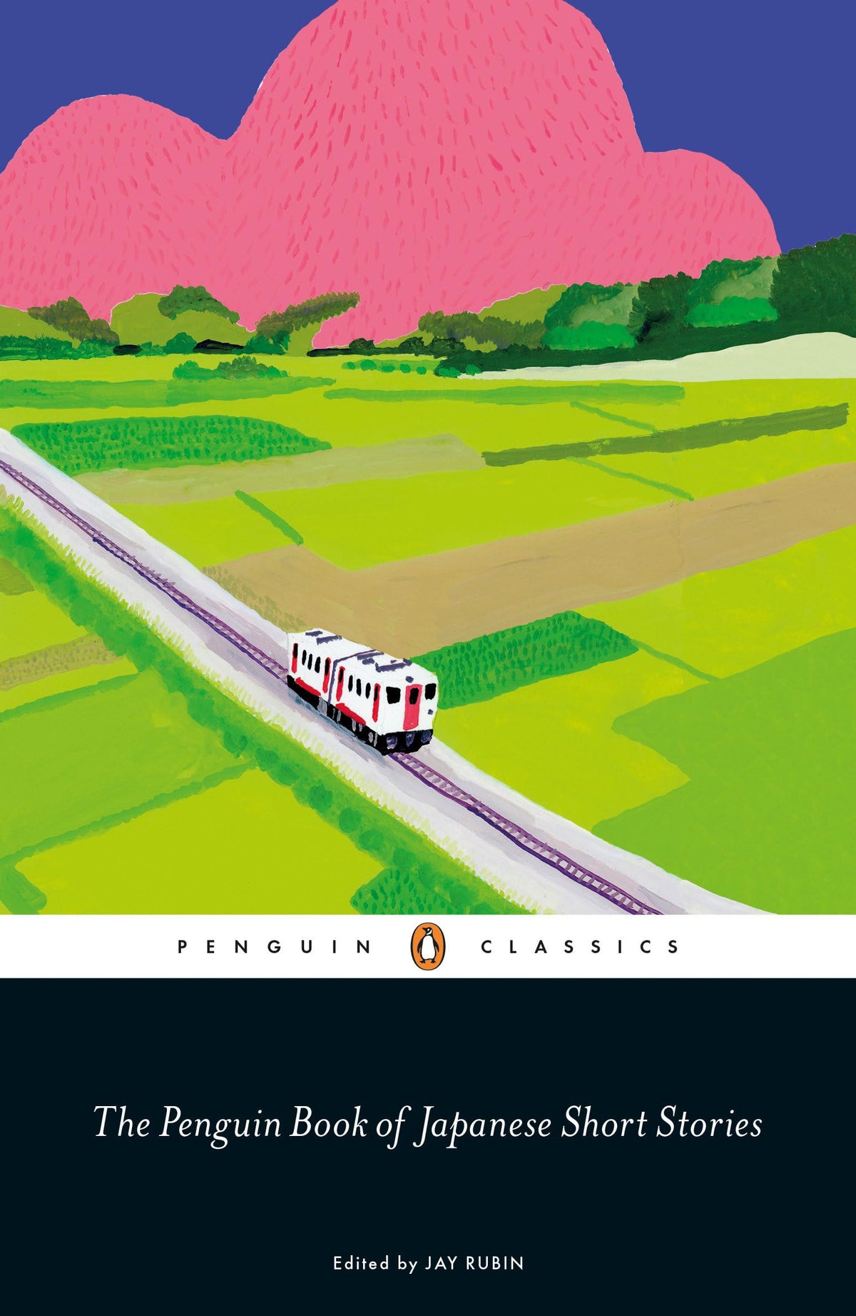 Penguin Book Of Japanese Short Stori