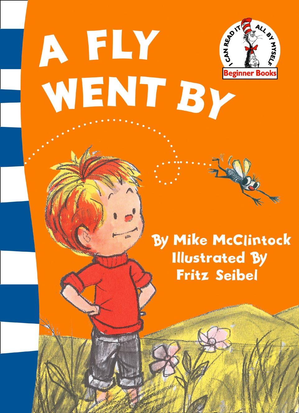 Beginner Series : A Fly Went By