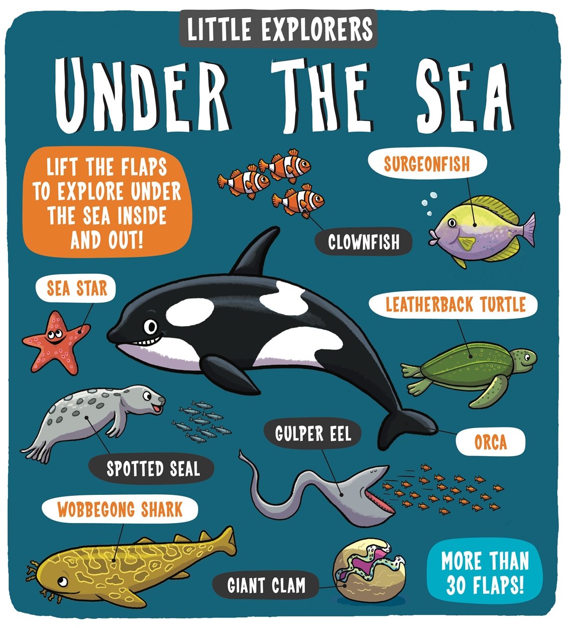 Little Explorers: Under The Sea