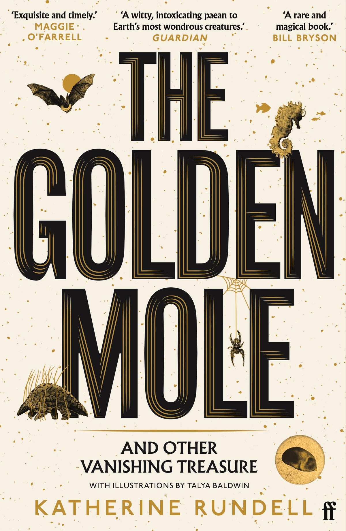 Golden Mole