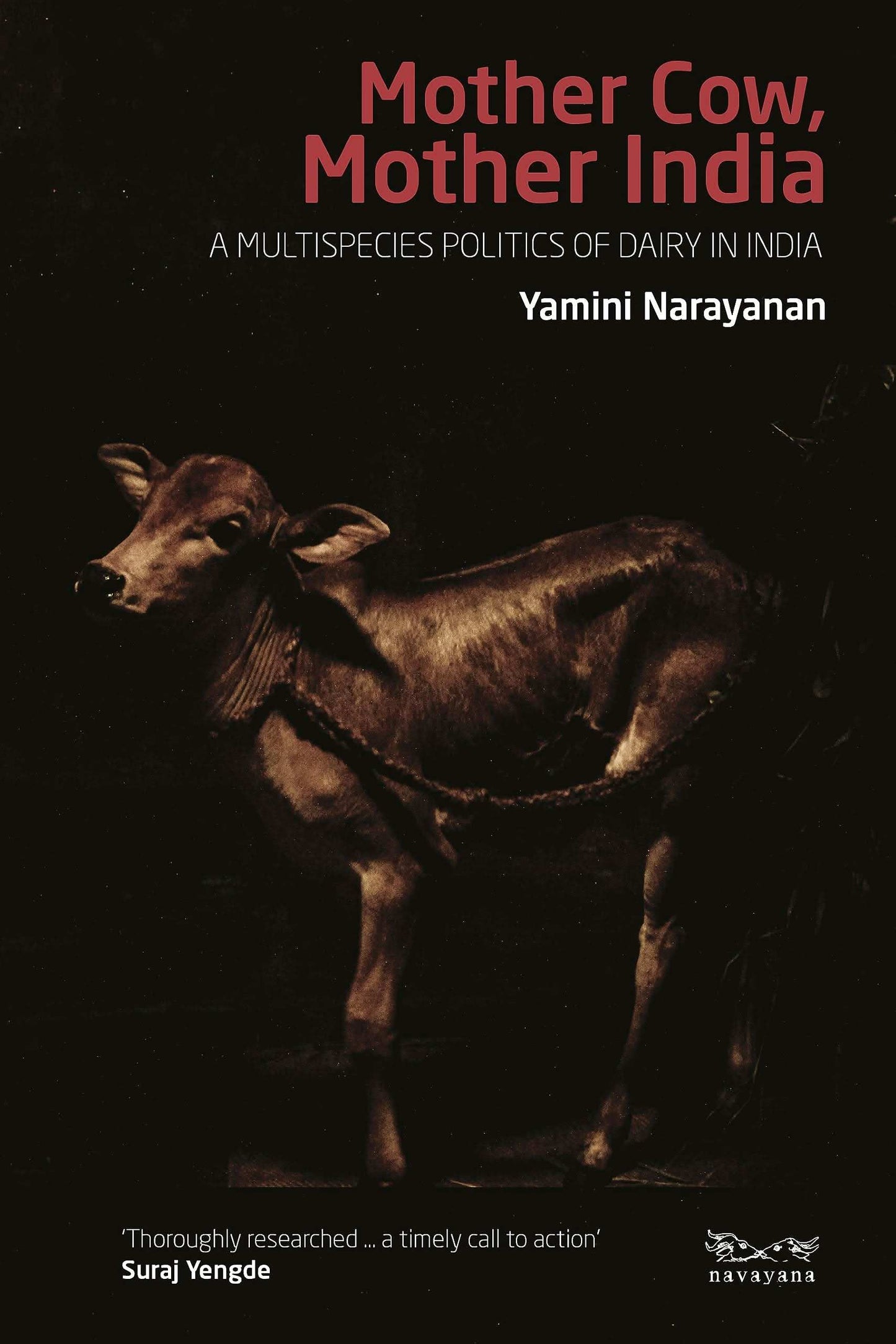 Mother Cow, Mother India : A Multispecies Politics Of Dairy In India