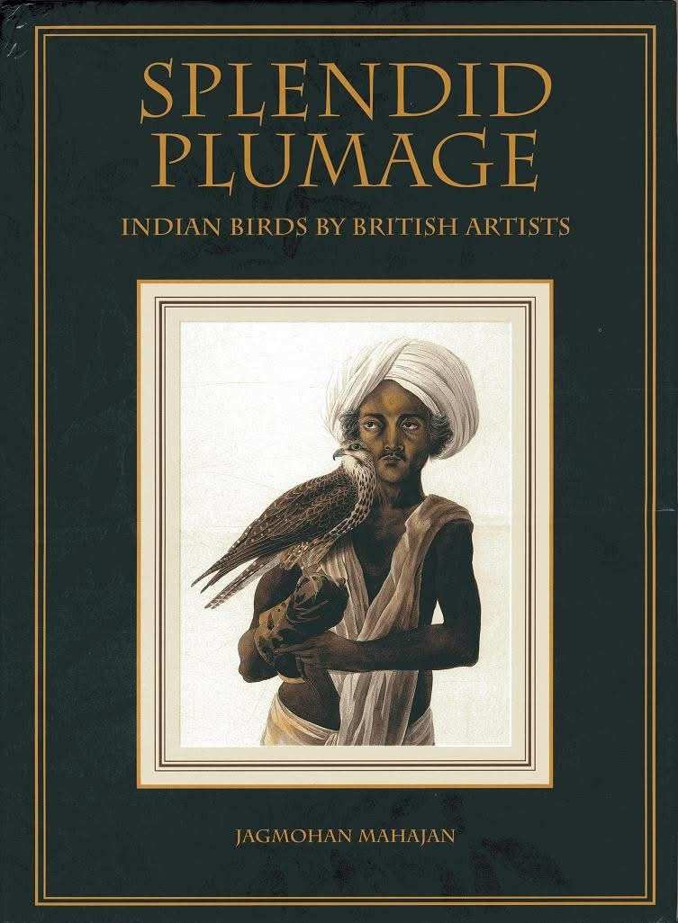 Splendid Plumage- Indian Birds By British Artists