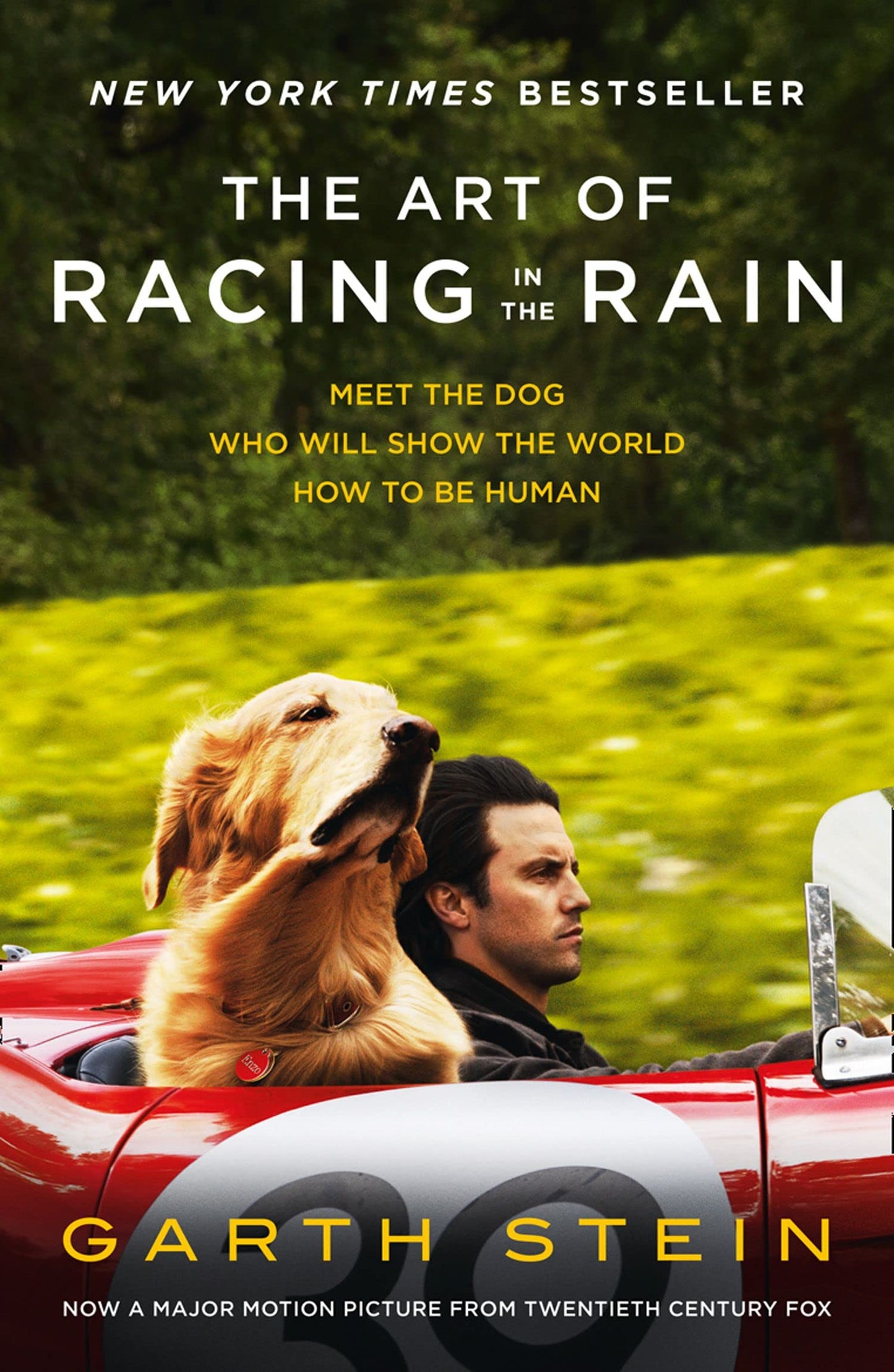 The Art Of Racing In The Rain - Fti