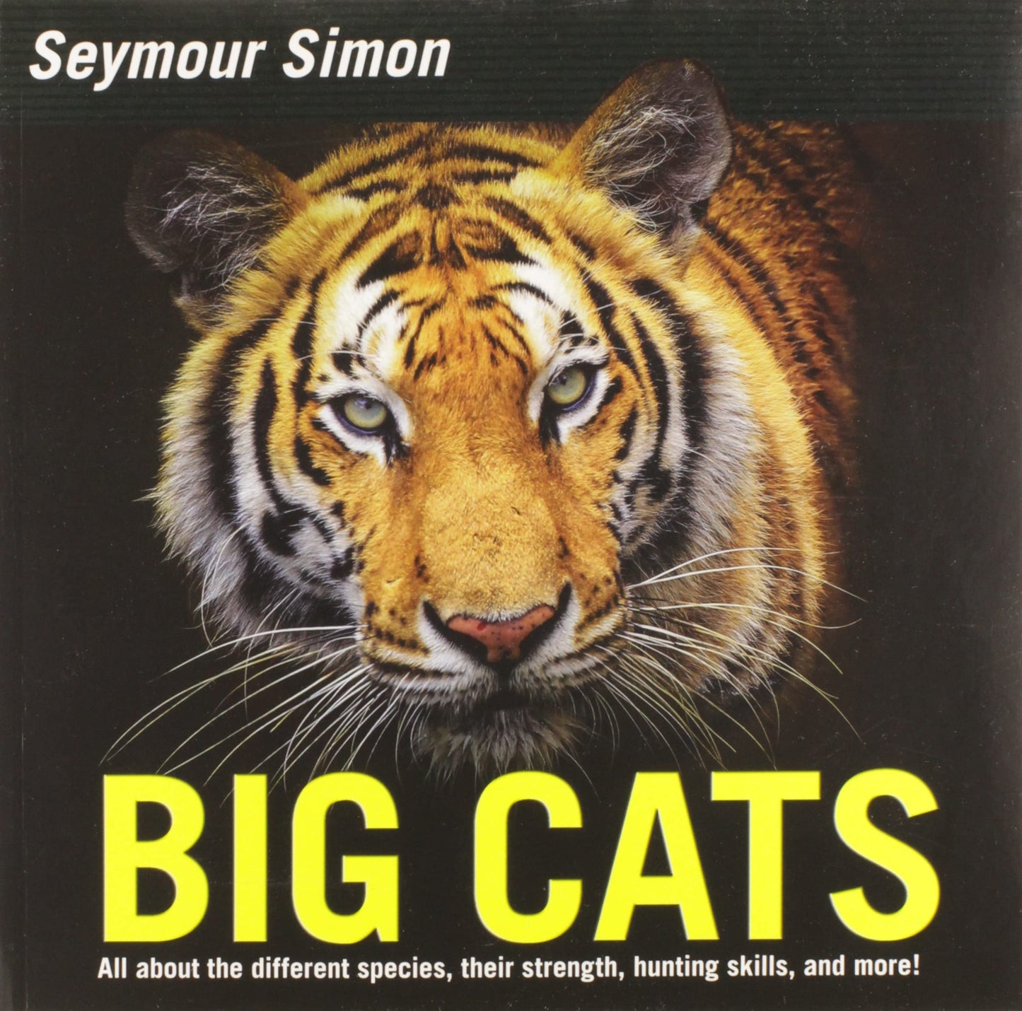 Big Cats