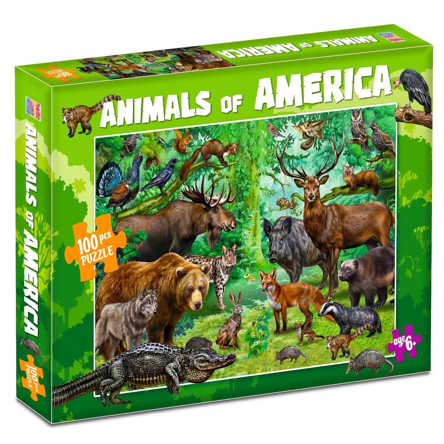 Animals Of America Puzzle Box