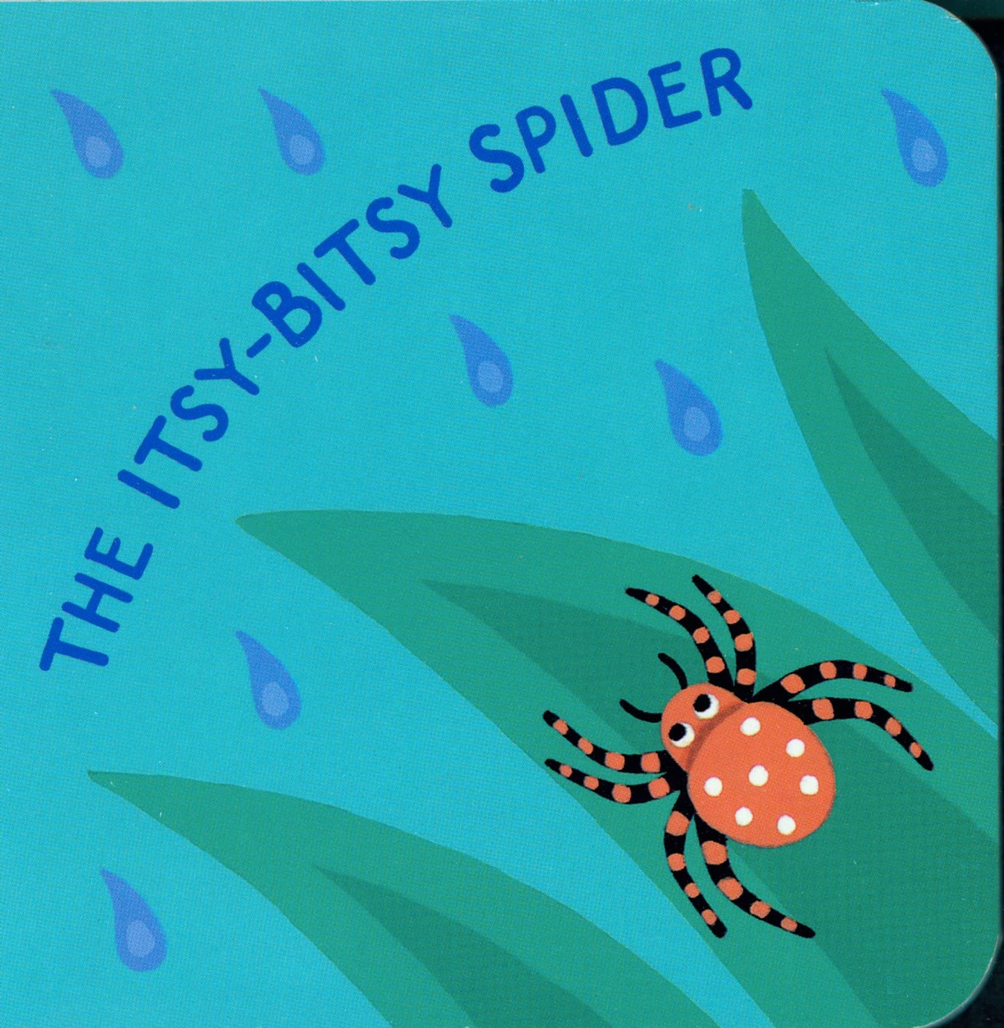 Itsy-Bitsy Spider, The