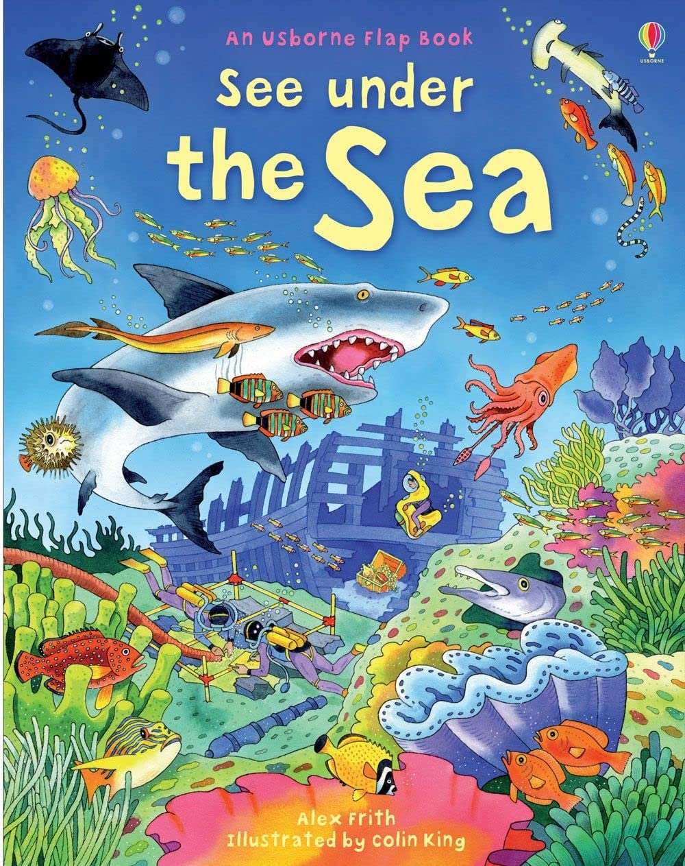 Usborne Flap Booksee Under The Sea
