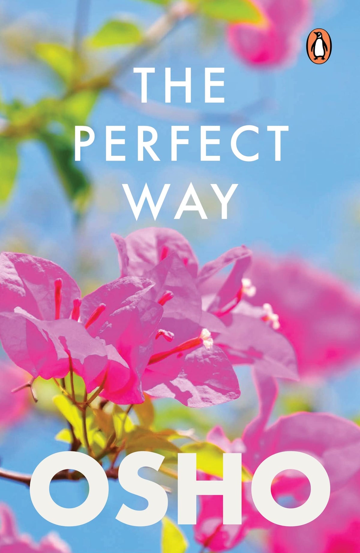 Perfect Way A Provocative Introduction To An Extraordinarily Ordinary Mans Vision For Humanity