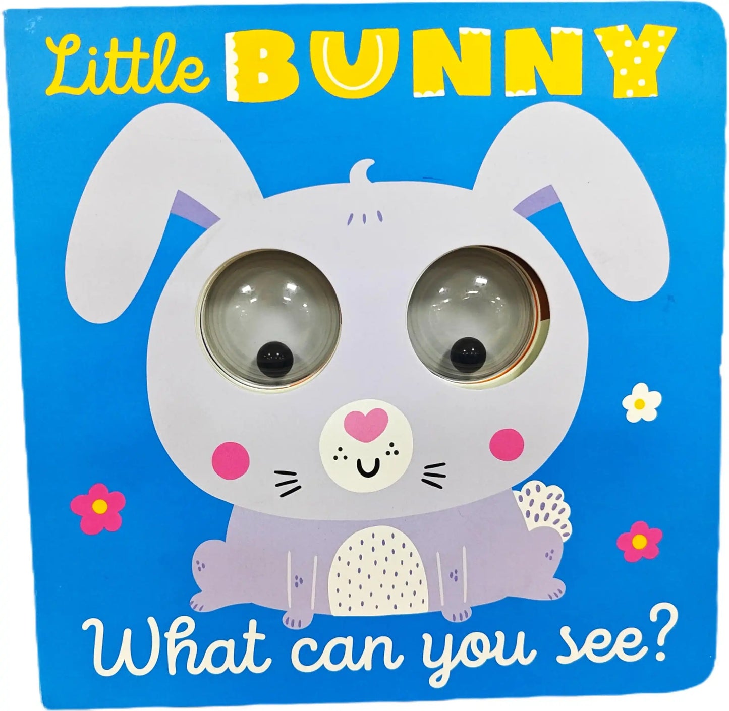 What Can You See? Little Bunny What Can You See?