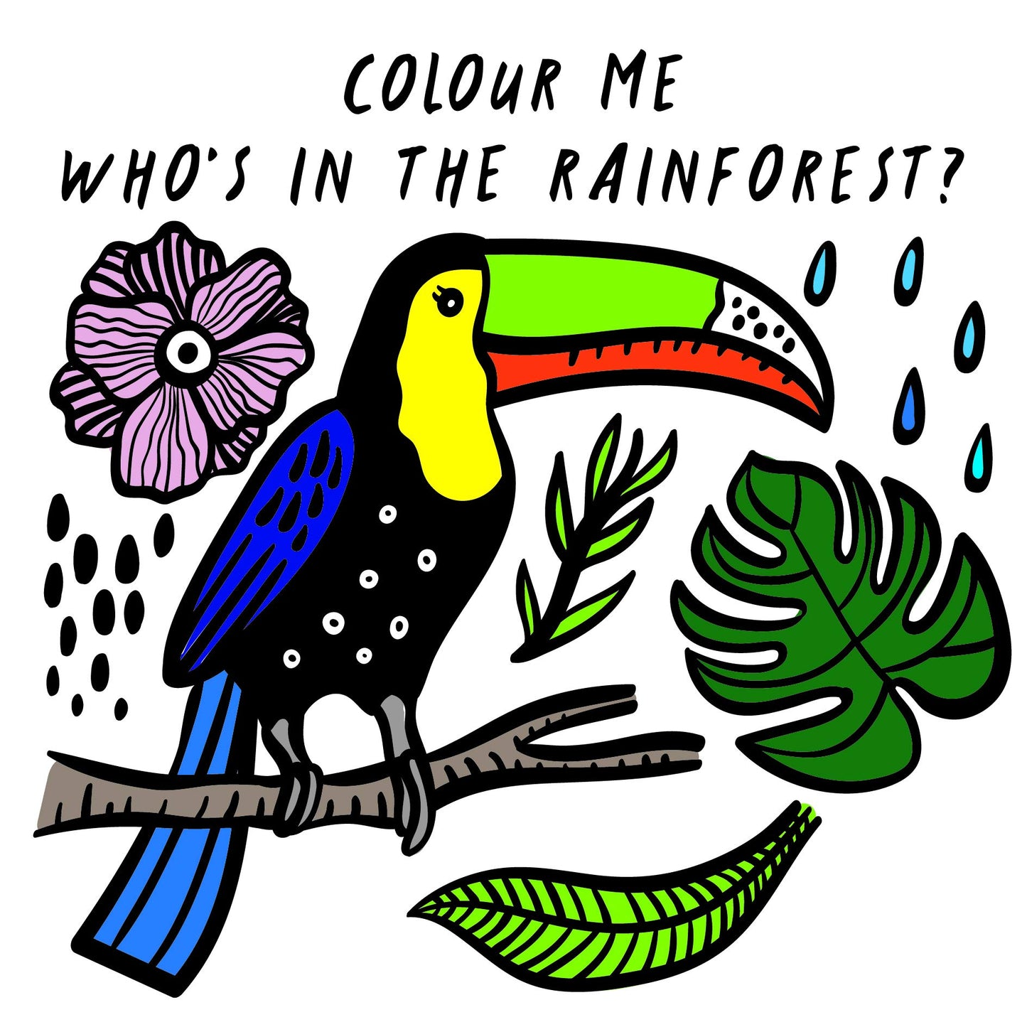 Colour Me: Who’S In The Rainforest?