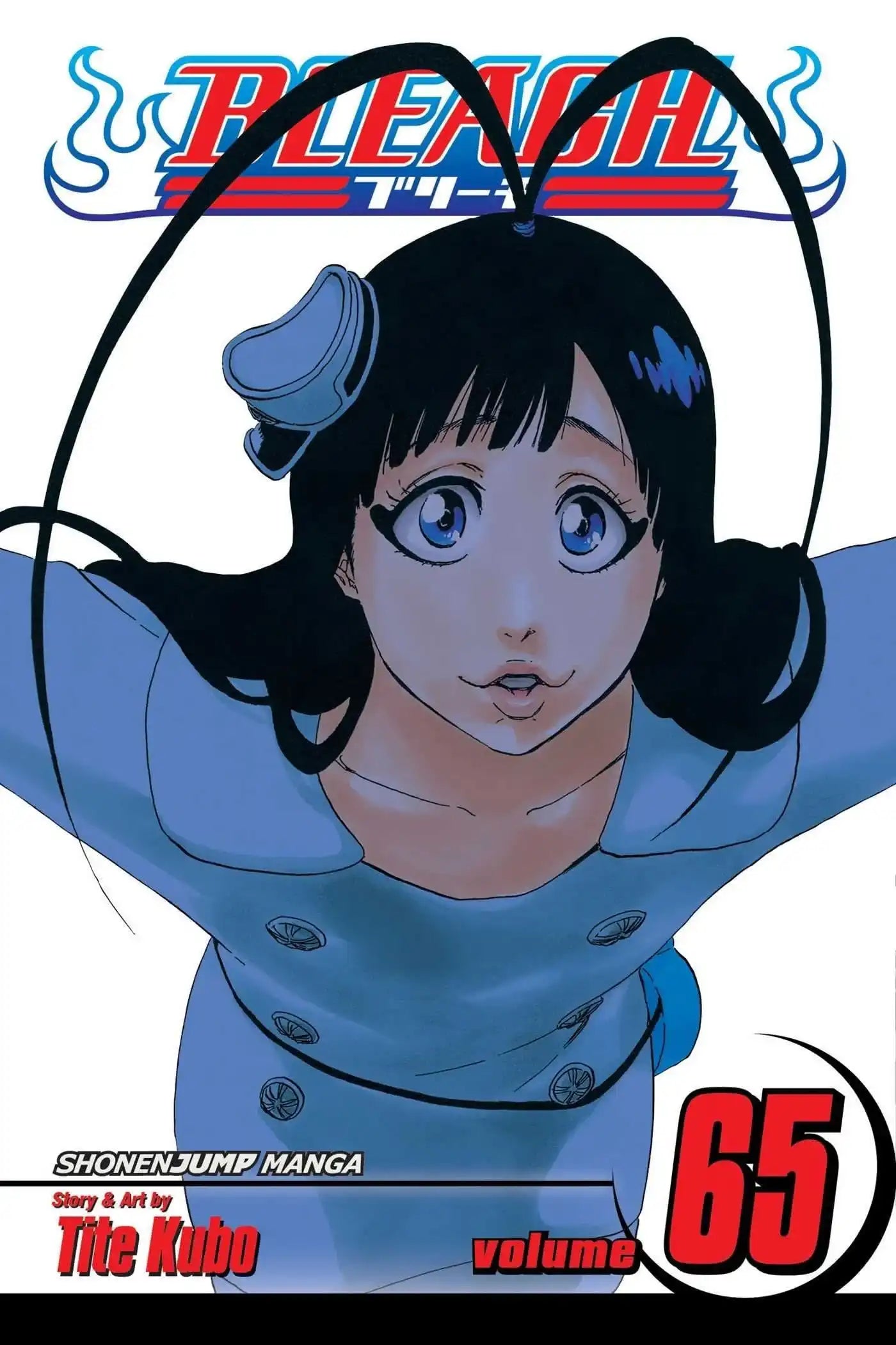 Bleach, Vol. 65 | Tite Kubo