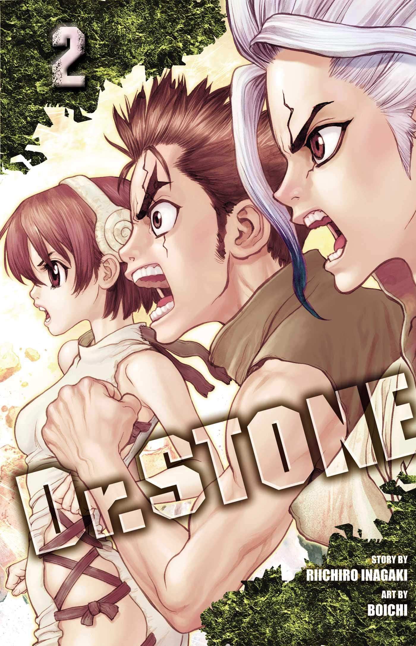 Dr Stone Vol 2