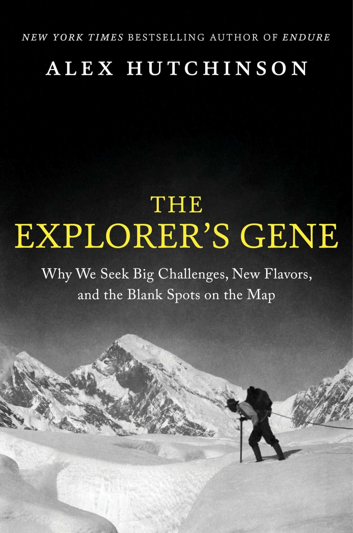 The Explorer'S Gene : Why We Seek Big Challenges, New Flavors, And The Blank Spots On The Map